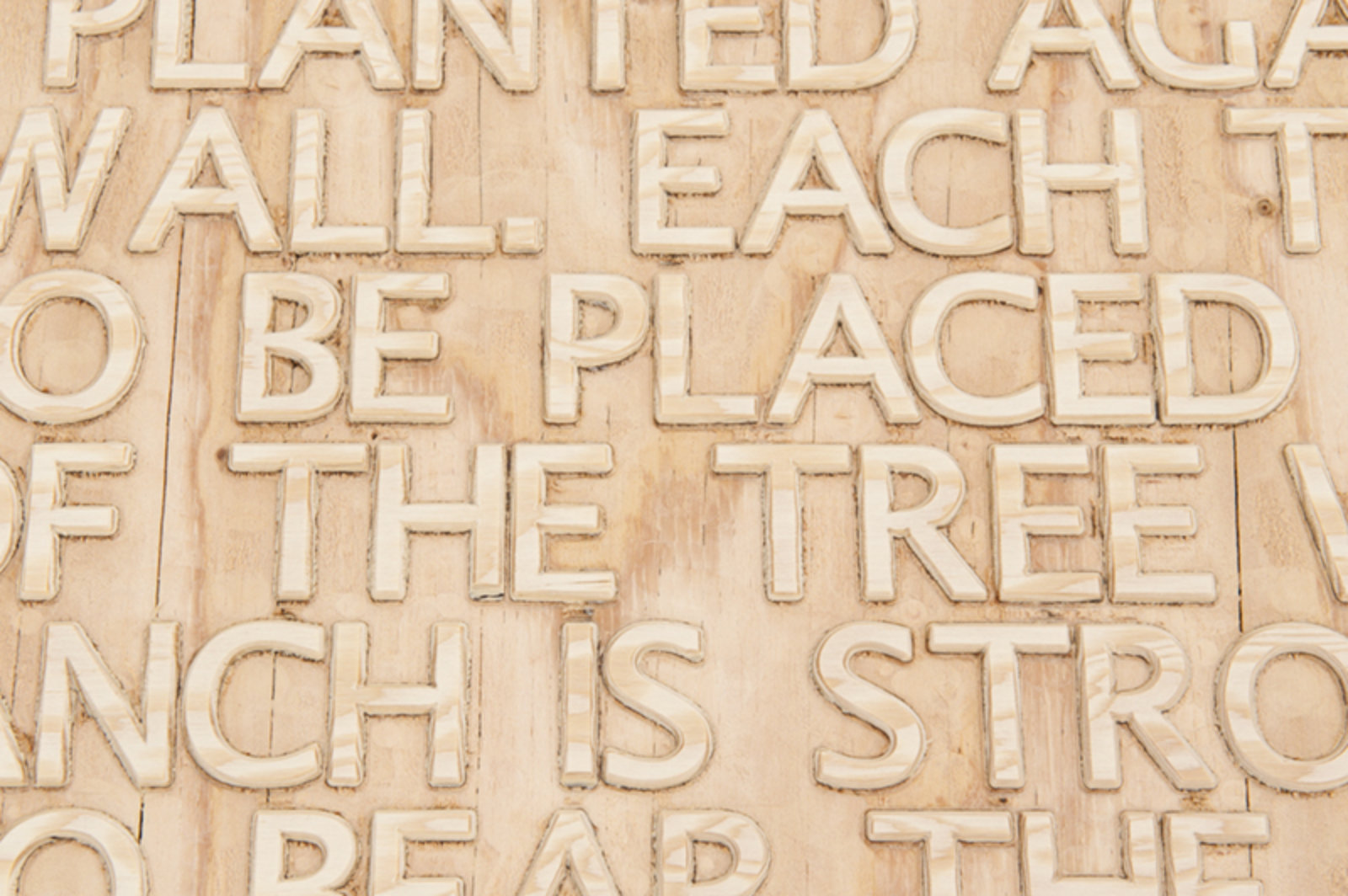 Brian Jungen, Bushido (detail), 2012, fir plywood, axe heads, tree, book, 16 x 31 x 16 in. (41 x 79 x 41 cm)