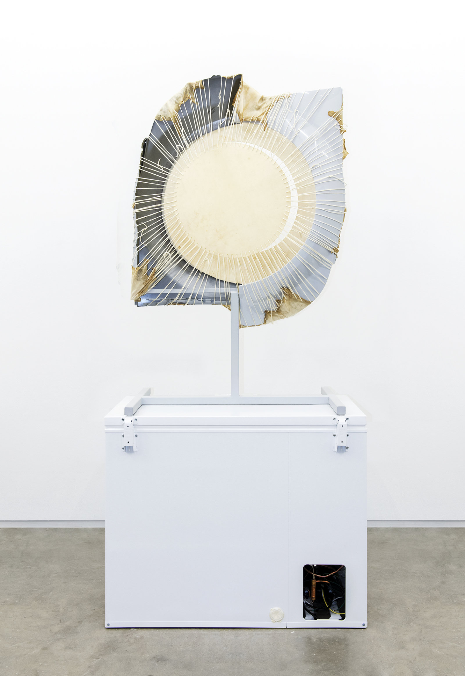 Brian Jungen, Companion, 2013, steel, deer hide, audi fenders, freezer, 103 x 51 x 28 in. (261 x 130 x 71 cm)