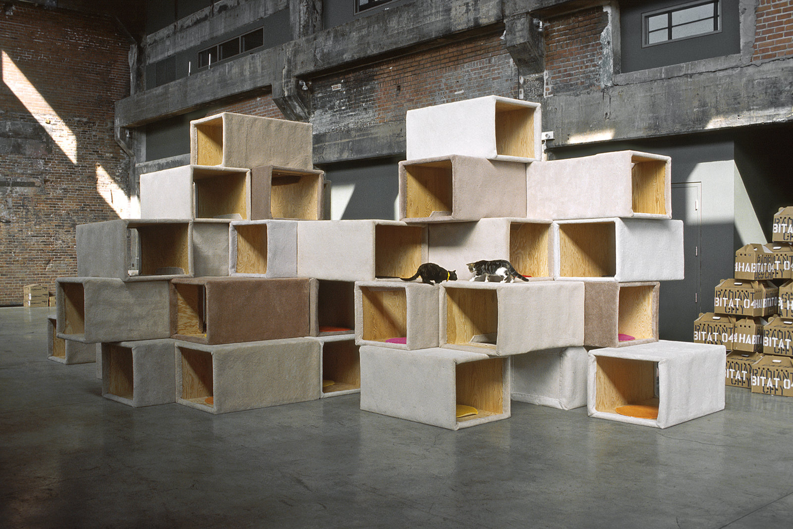 Brian Jungen, Habitat 04 - Cité radieuse des chats/Cats Radiant City, 2004, plywood, carpet, cats, 132 x 180 x 336 in. (335 x 457 x 853 cm)