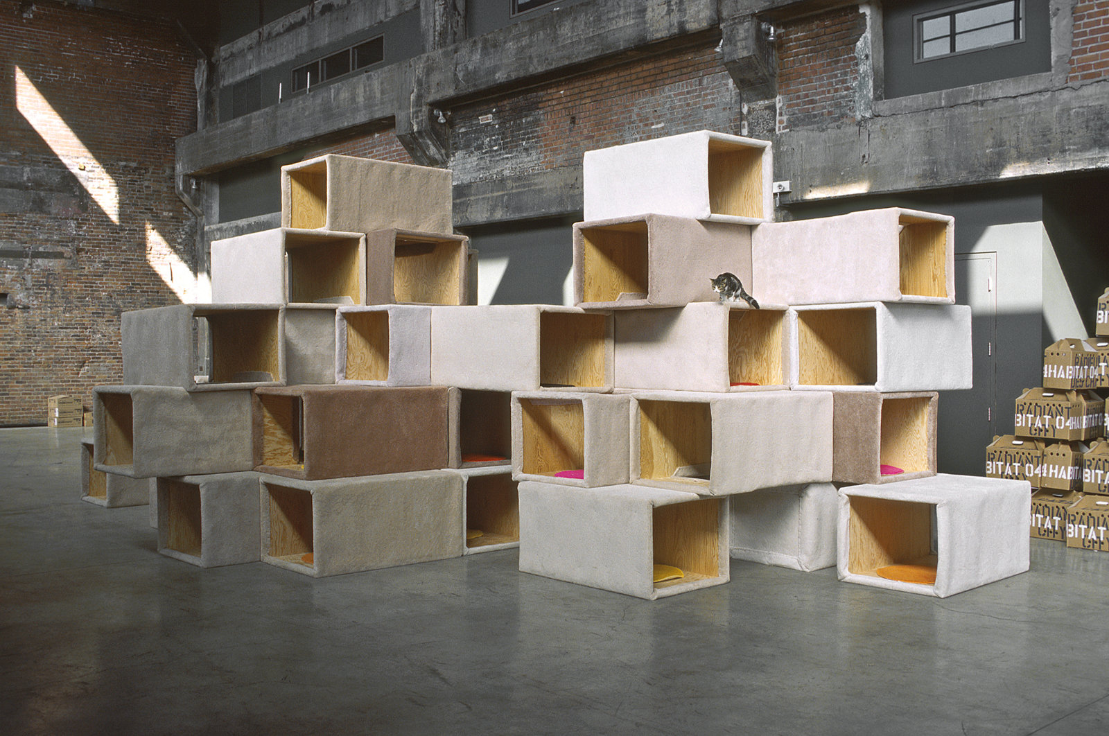 Brian Jungen, Habitat 04 - Cité radieuse des chats/Cats Radiant City, 2004, plywood, carpet, cats, 132 x 180 x 336 in. (335 x 457 x 853 cm)