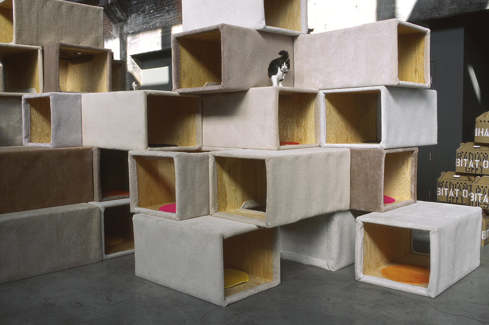Brian Jungen, Habitat 04 - Cité radieuse des chats/Cats Radiant City (detail), 2004, plywood, carpet, cats, 132 x 180 x 336 in. (335 x 457 x 853 cm)