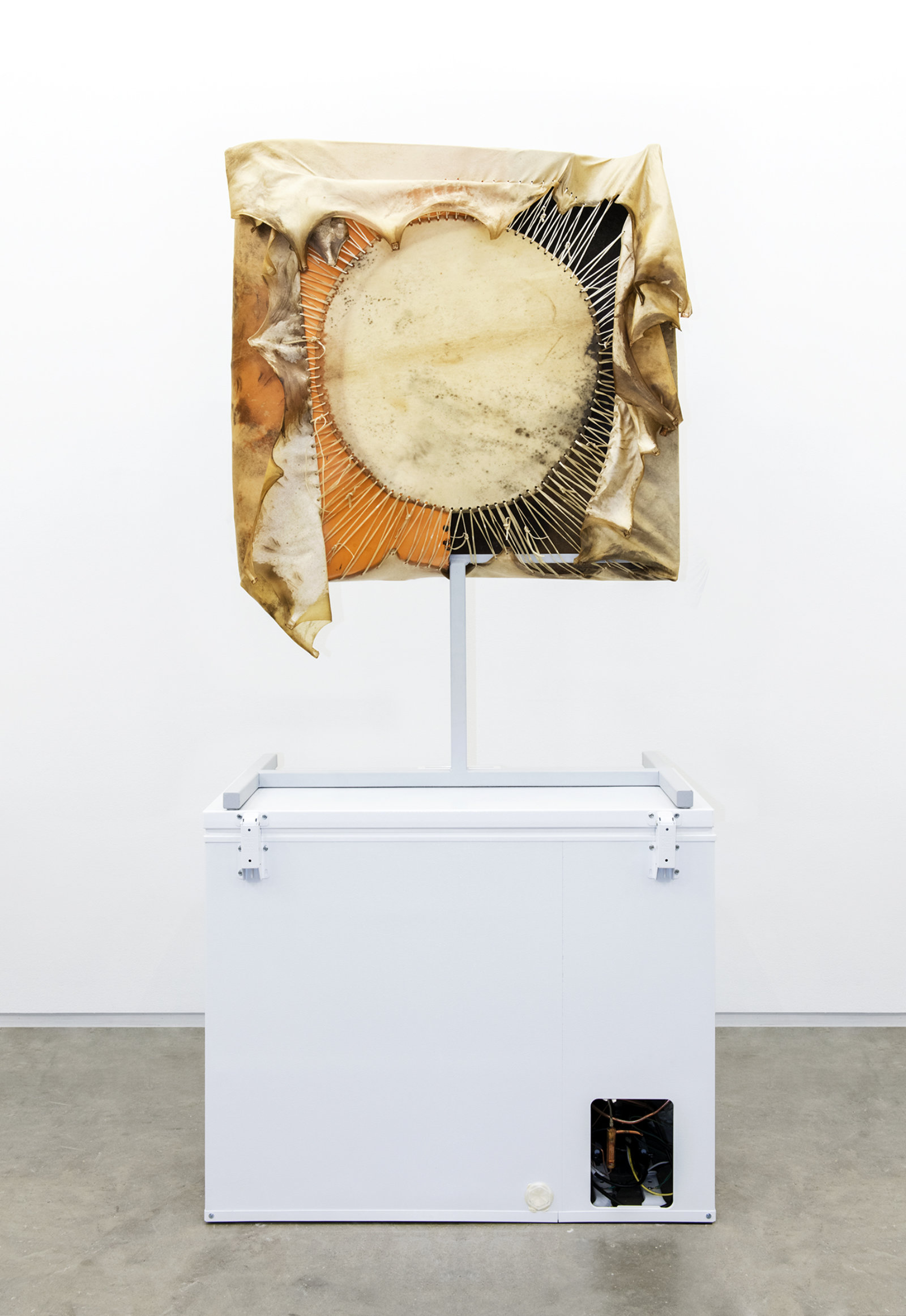 Brian Jungen, Moon, 2013, steel, deer hide, trabant fenders, freezer, 102 x 51 x 28 in. (258 x 130 x 71 cm)