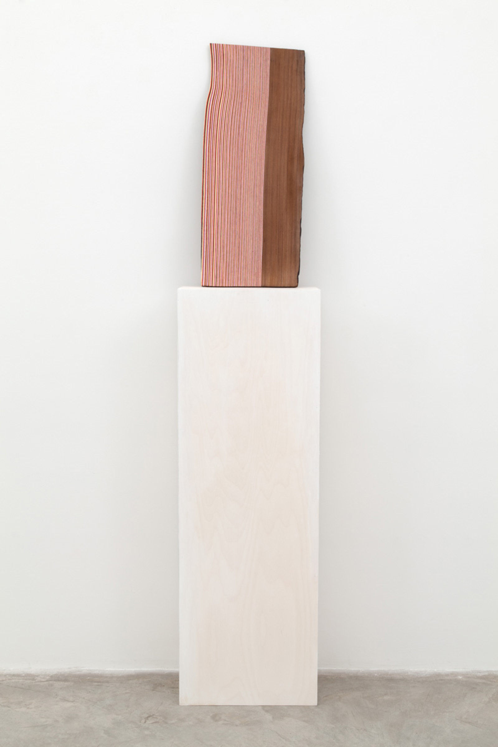 Brian Jungen, Shake, 2014, cedar, alkyd-resin enamel, 28 x 12 x 1 in. (70 x 29 x 2 cm)