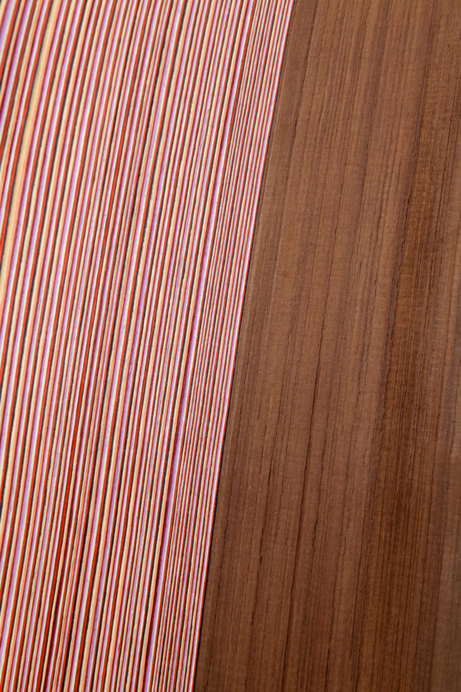 Brian Jungen, Shake (detail), 2014, cedar, alkyd-resin enamel, 28 x 12 x 1 in. (70 x 29 x 2 cm)
