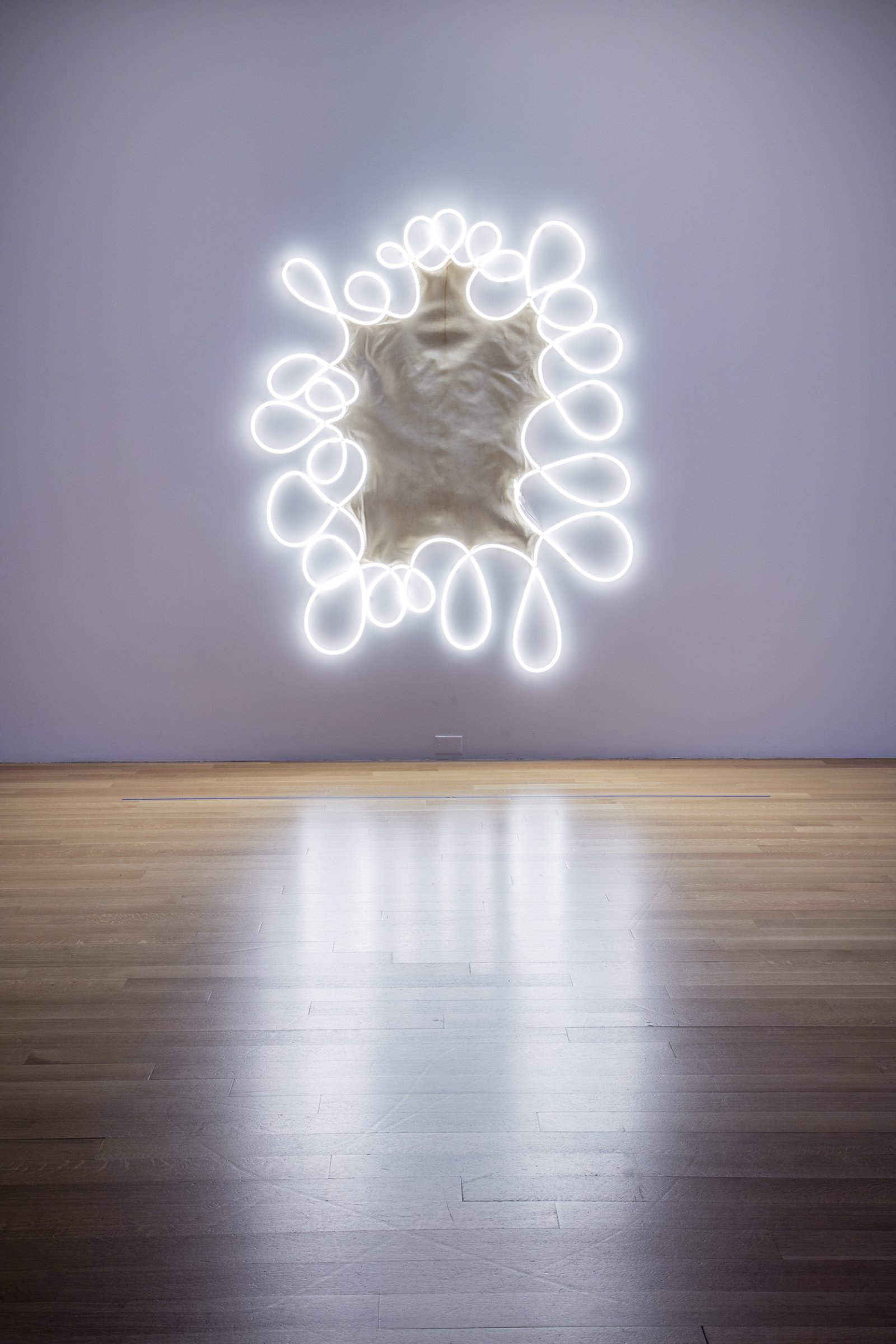 Brian Jungen, Tarandus (white), 2009/2019, deerskin rawhide, braided sinew and led lights, 83 x 85 x 2 in. (211 x 216 x 5 cm). Installation view, Friendship Centre, Art Gallery of Ontario, Toronto, Canada, 2019