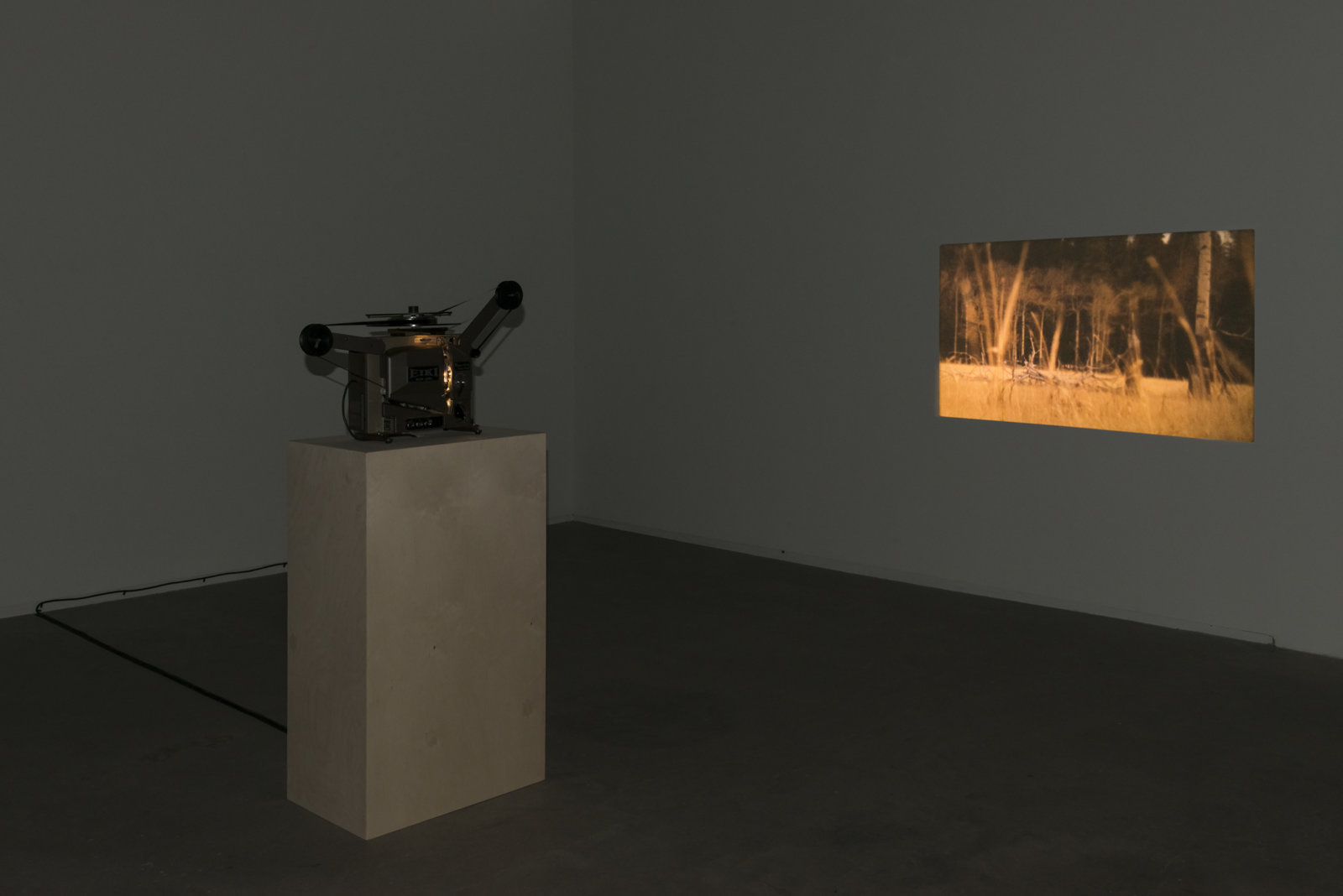 Brian Jungen and Duane Linklater, Lull, 2013, super 16mm ﬁlm loop on projector, 2 minutes, 54 seconds