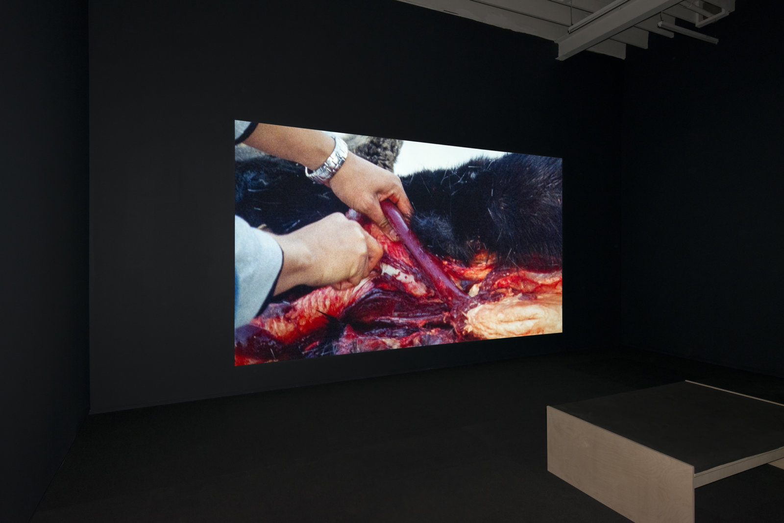 Brian Jungen and Duane Linklater, Modest Livelihood, 2012, super 16mm film, transferred to blu-ray, 50 minutes, silent