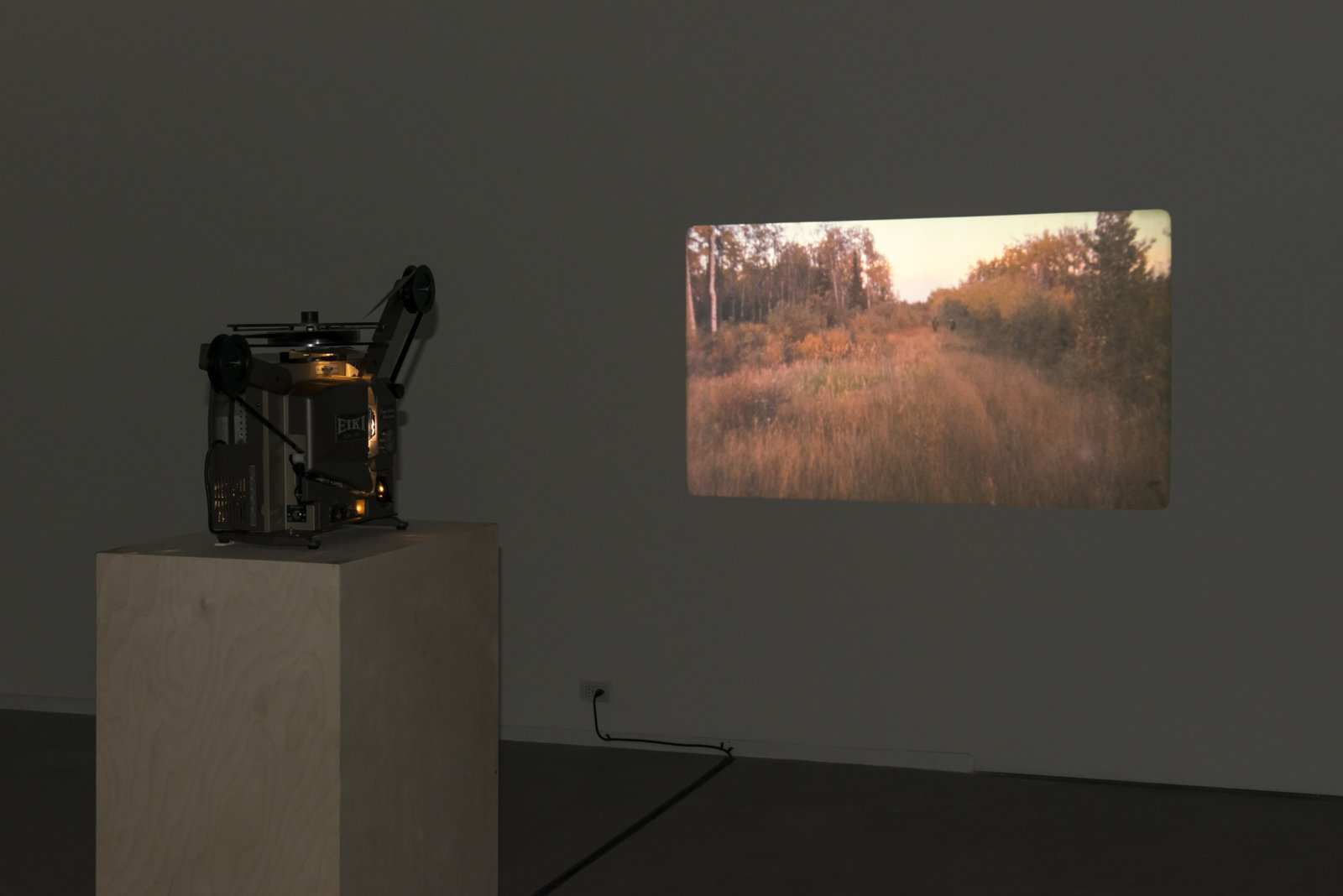 Brian Jungen and Duane Linklater, Stalker, 2013, super 16mm film loop on projector, 2 minutes, 54 seconds