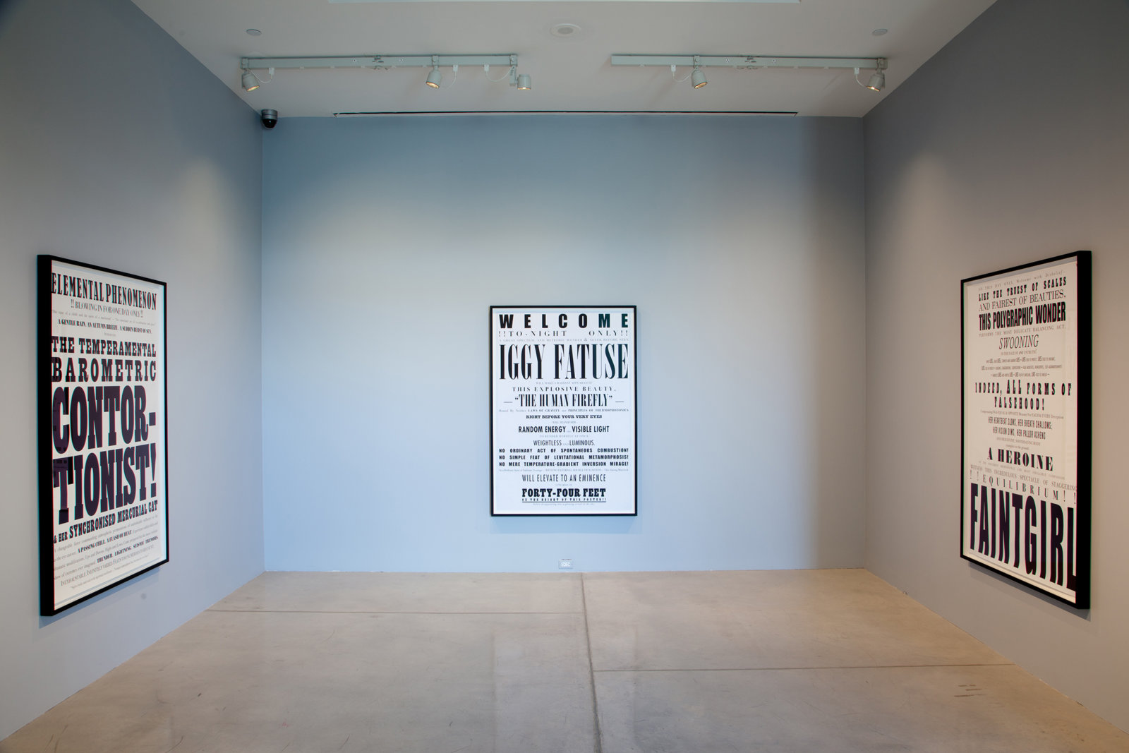 Janice Kerbel, Remarkable, 2007, silkscreen prints on campaign poster paper, dimensions variable. Installation view, Elevated, Art Gallery of Ontario, Toronto, ON, 2014