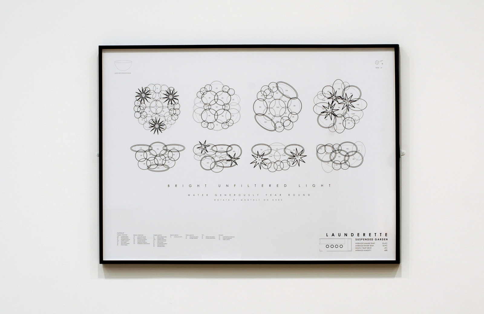 Janice Kerbel, Home Climate Gardens: Launderette, 2003, digital inkjet print on double weight matte paper, 33 x 47 in. (84 x 119 cm)