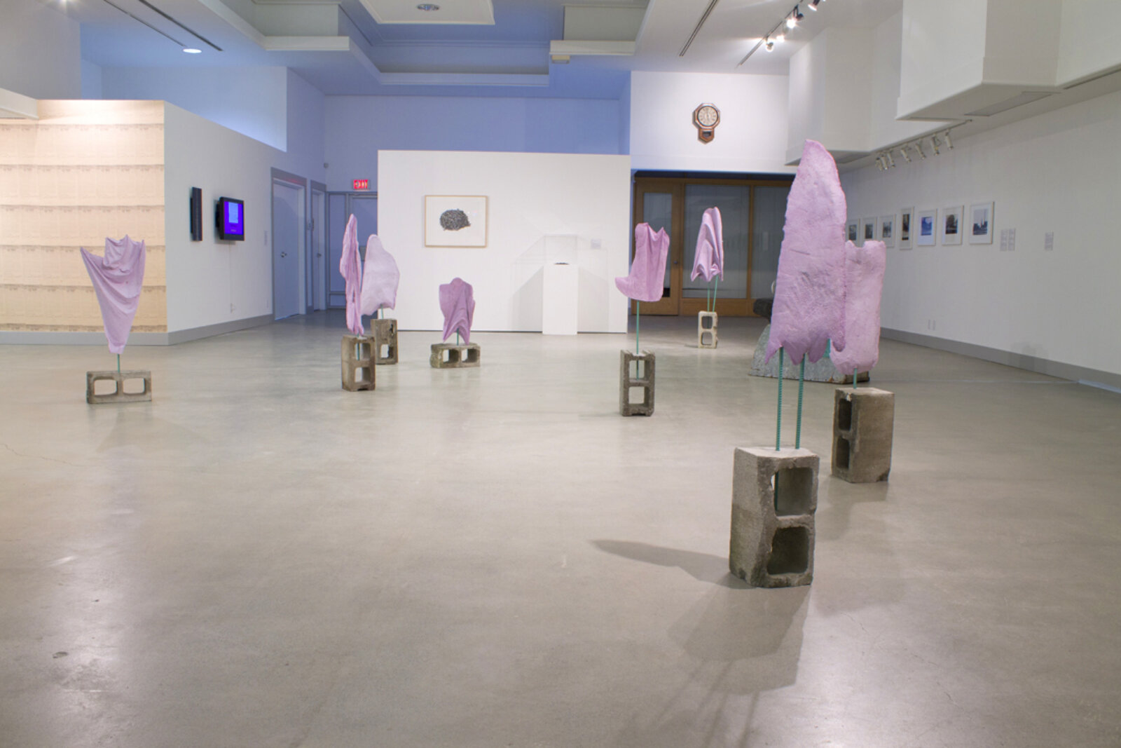 Devon Knowles, Mauve Ghosts, 2013, concrete, pigment, steel, dimensions variable. Installation view, Black Diamond Dust, Nanaimo Art Gallery, Canada, 2014