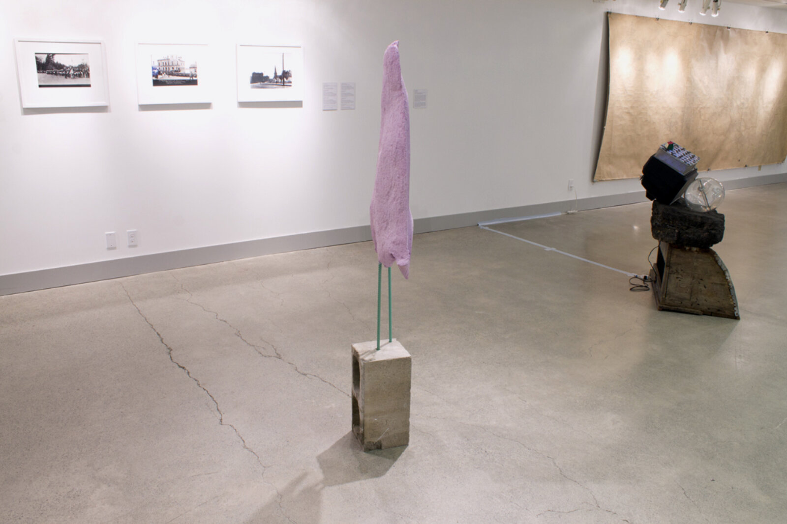 Devon Knowles, Mauve Ghosts, 2013, concrete, pigment, steel, dimensions variable. Installation view, Black Diamond Dust, Nanaimo Art Gallery, Canada, 2014