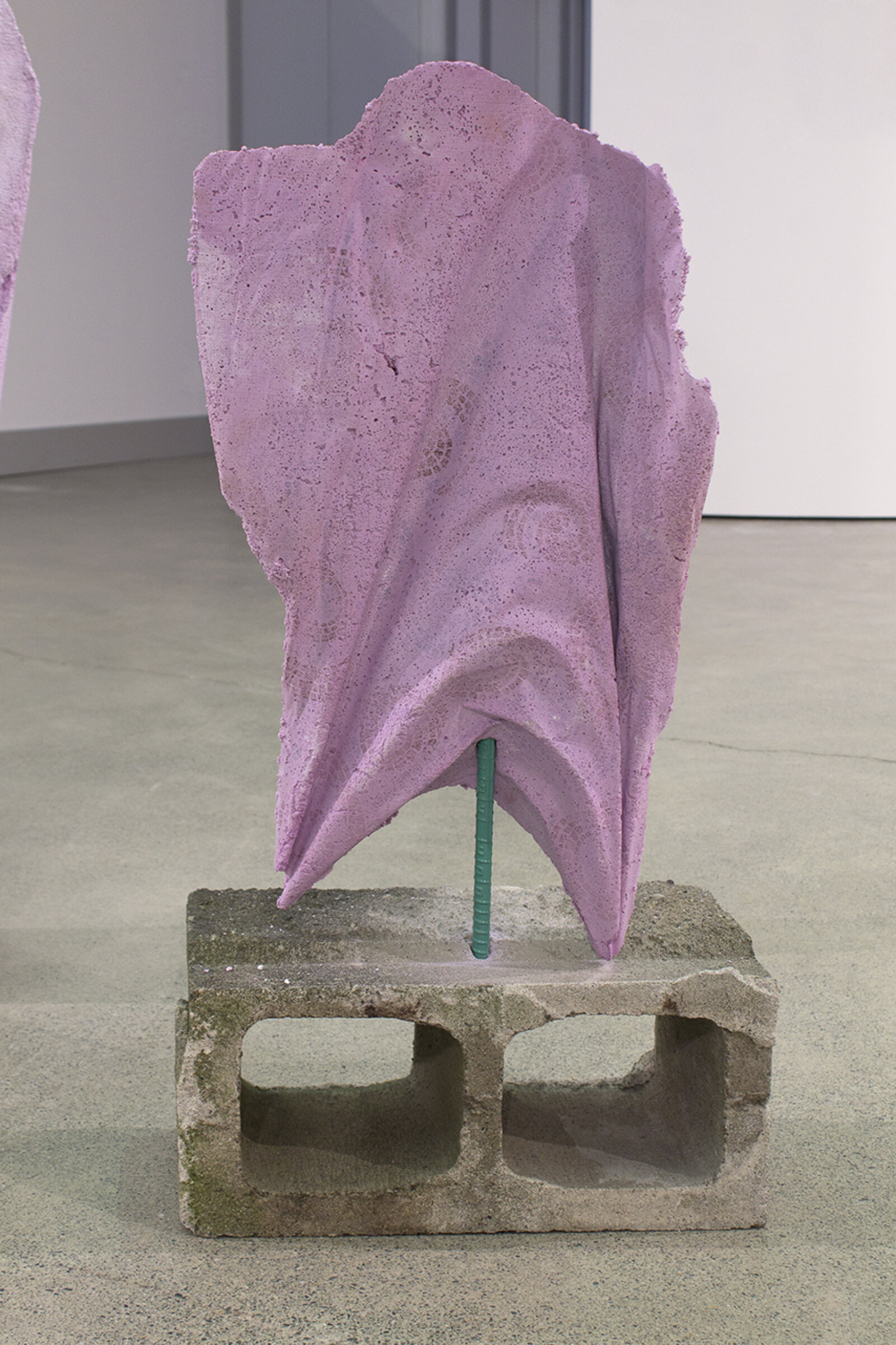 Devon Knowles, Mauve Ghosts, 2013, concrete, pigment, steel, dimensions variable. Installation view, Black Diamond Dust, Nanaimo Art Gallery, Canada, 2014