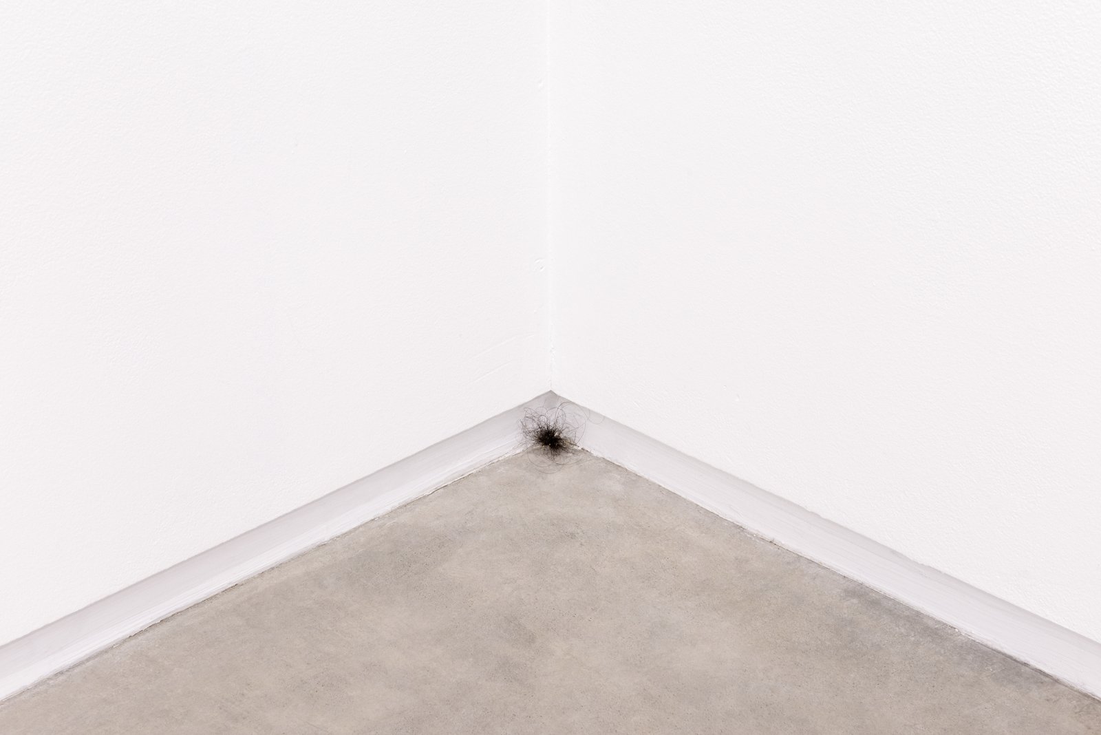 ​Duane Linklater, installation view, But the sun is up and you're going?, Catriona Jeffries, 2014​ by Duane Linklater