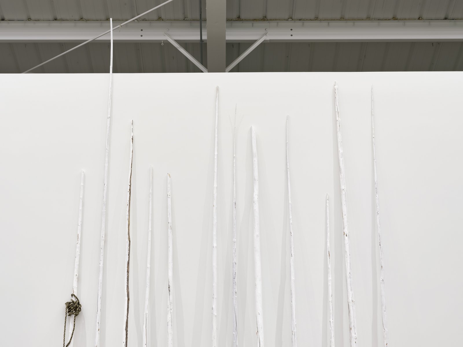 Duane Linklater, action at a distance (detail), 2020, teepee poles, paint, nylon rope, plants, plates, ceramics, sandbags, frames, 12 digital prints, mirror, 233 x 102 x 66 in. (592 x 259 x 168 cm)