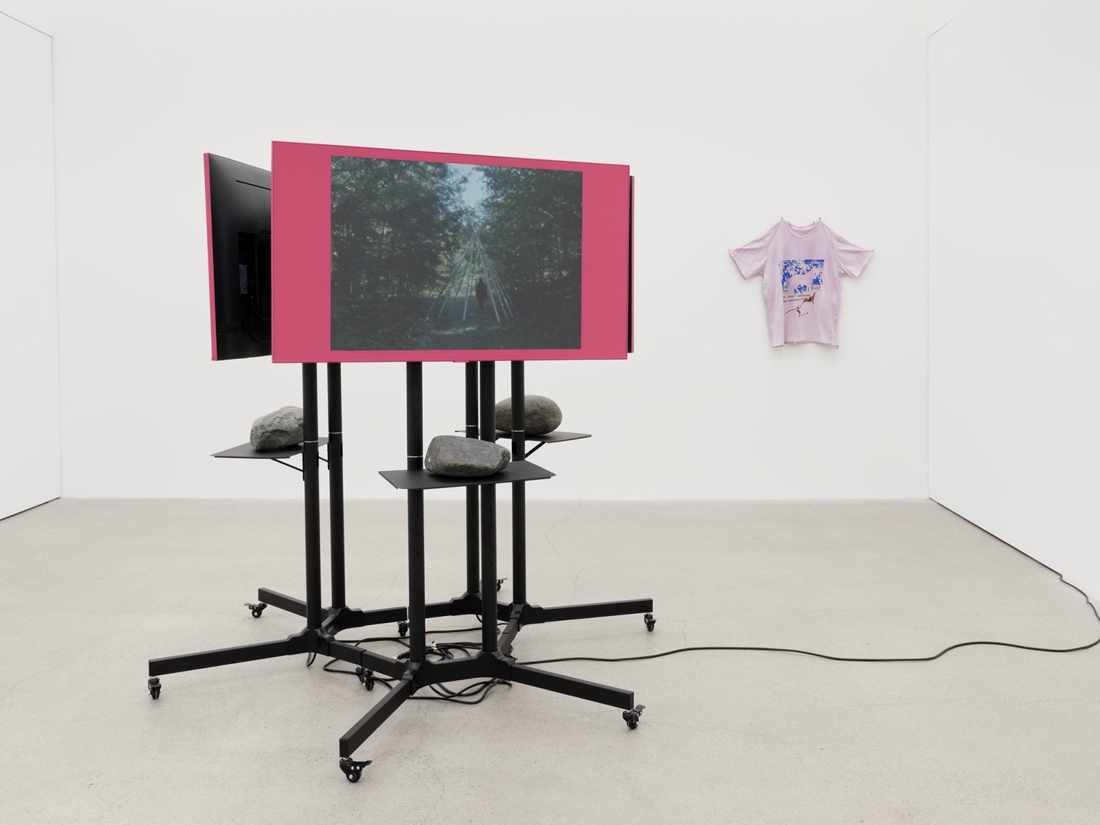 Duane Linklater, installation view, primaryuse, Catriona Jeffries, Vancouver, 2020 by Duane Linklater