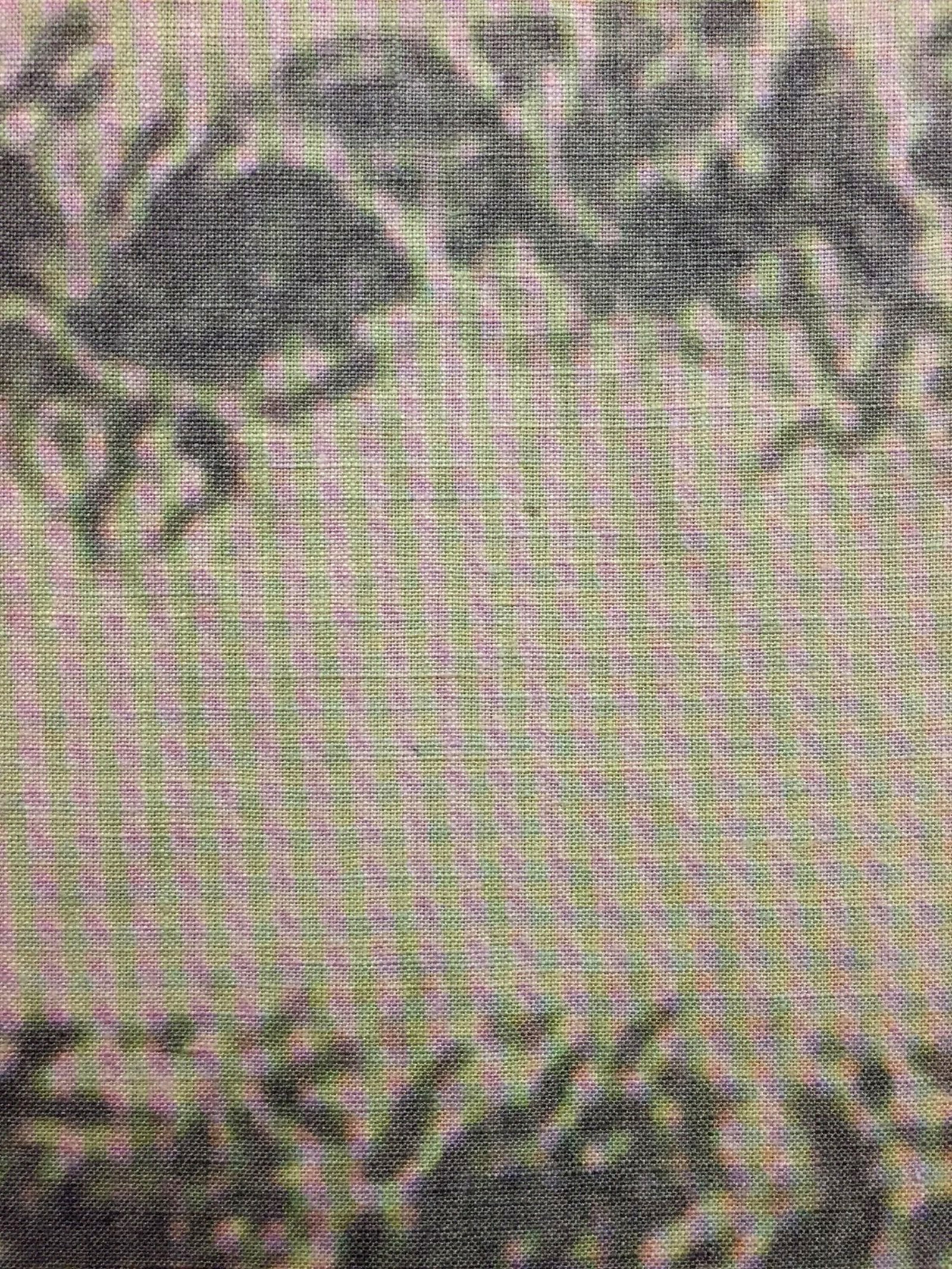 Duane Linklater, UMFA 1974.079.091.050 (detail), 2015, inkjet print on linen, nails, from Navajo Saddle Blanket, Utah Museum of Fine Arts Collection, 85 x 44 in. (216 x 112 cm)
