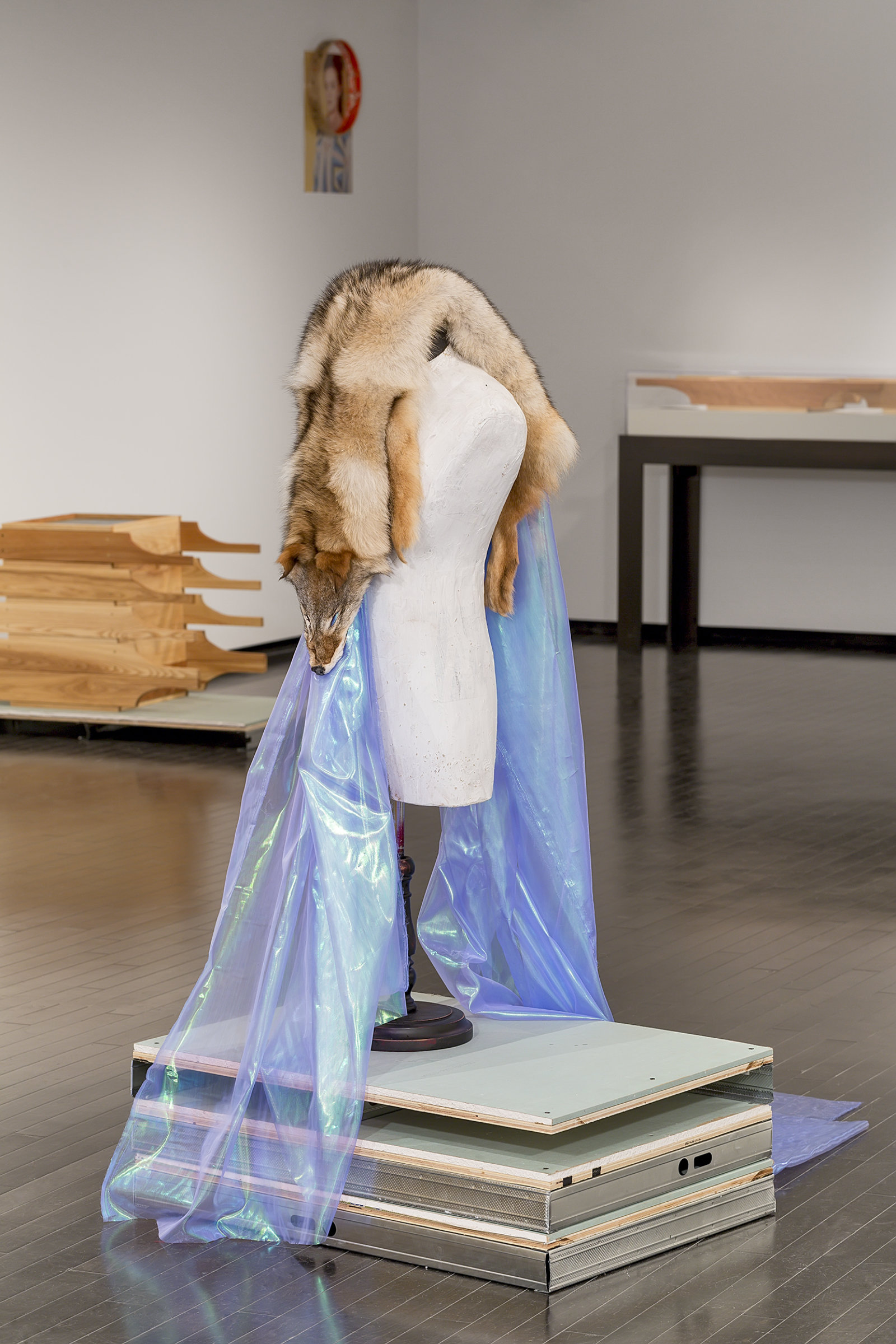 Duane Linklater, Beast of Burden, 2016, coyote fur, dress form, gypsum, steel, wood, dimensions variable