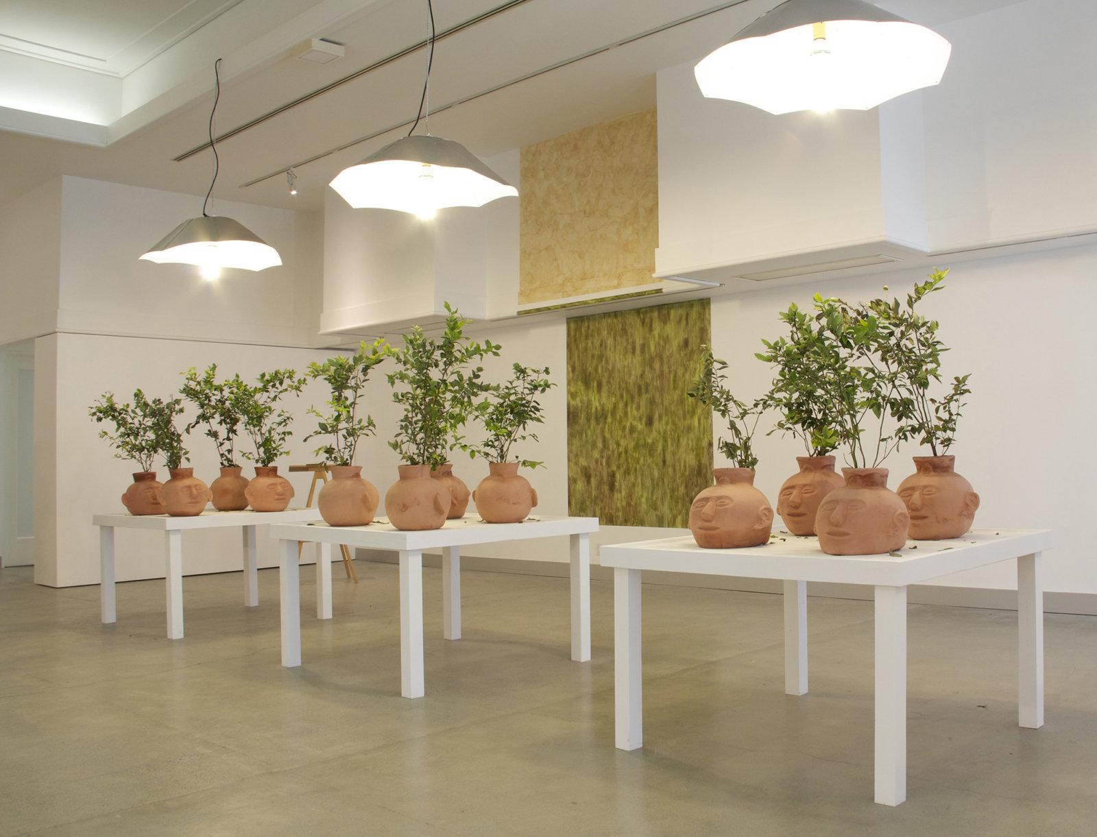 Duane Linklater, Blueberries for 12 Vessels, 2015, blueberry bushes, clay, earth, dimensions variable