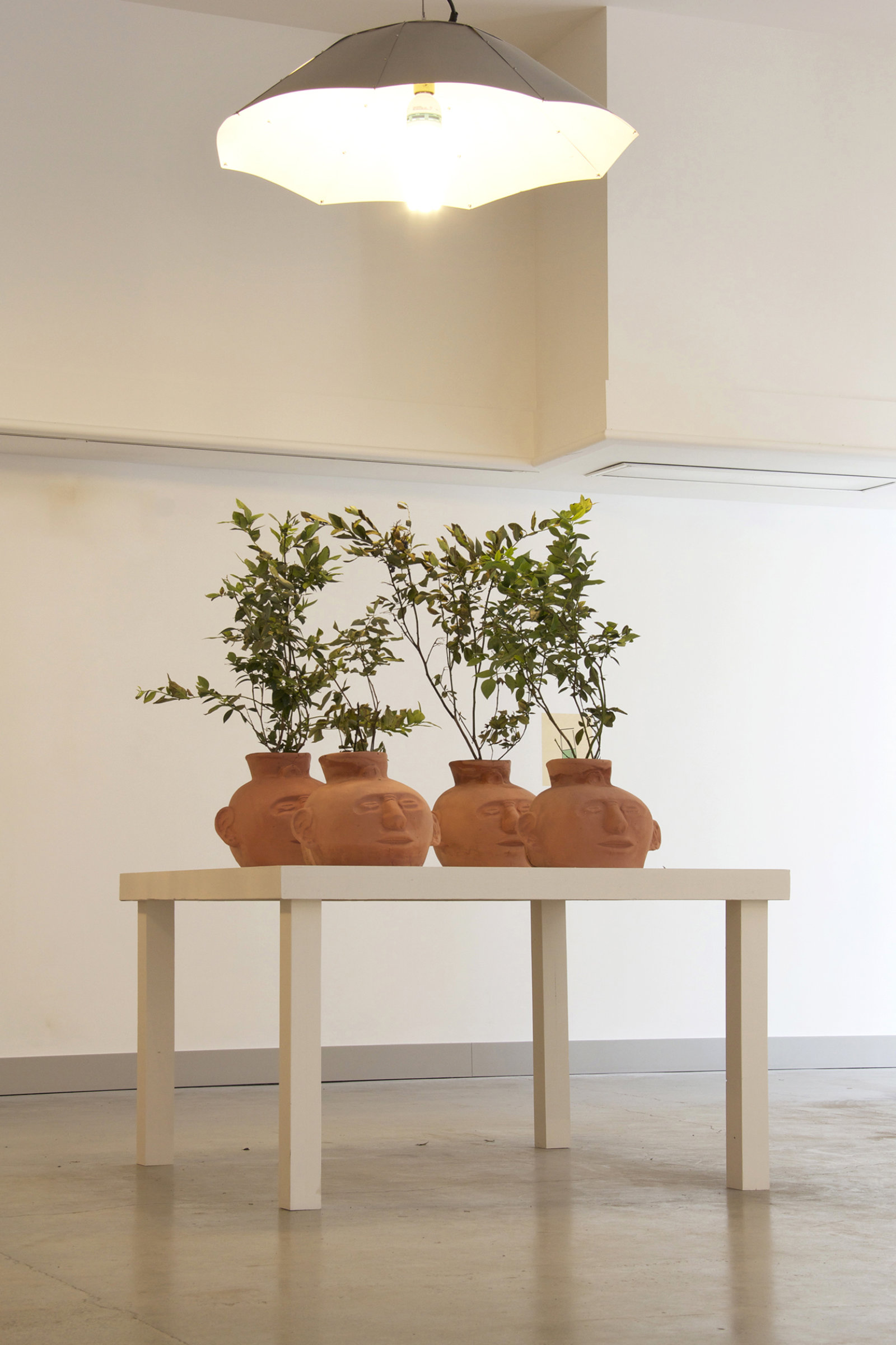 Duane Linklater, Blueberries for 12 Vessels, 2015, blueberry bushes, clay, earth, dimensions variable