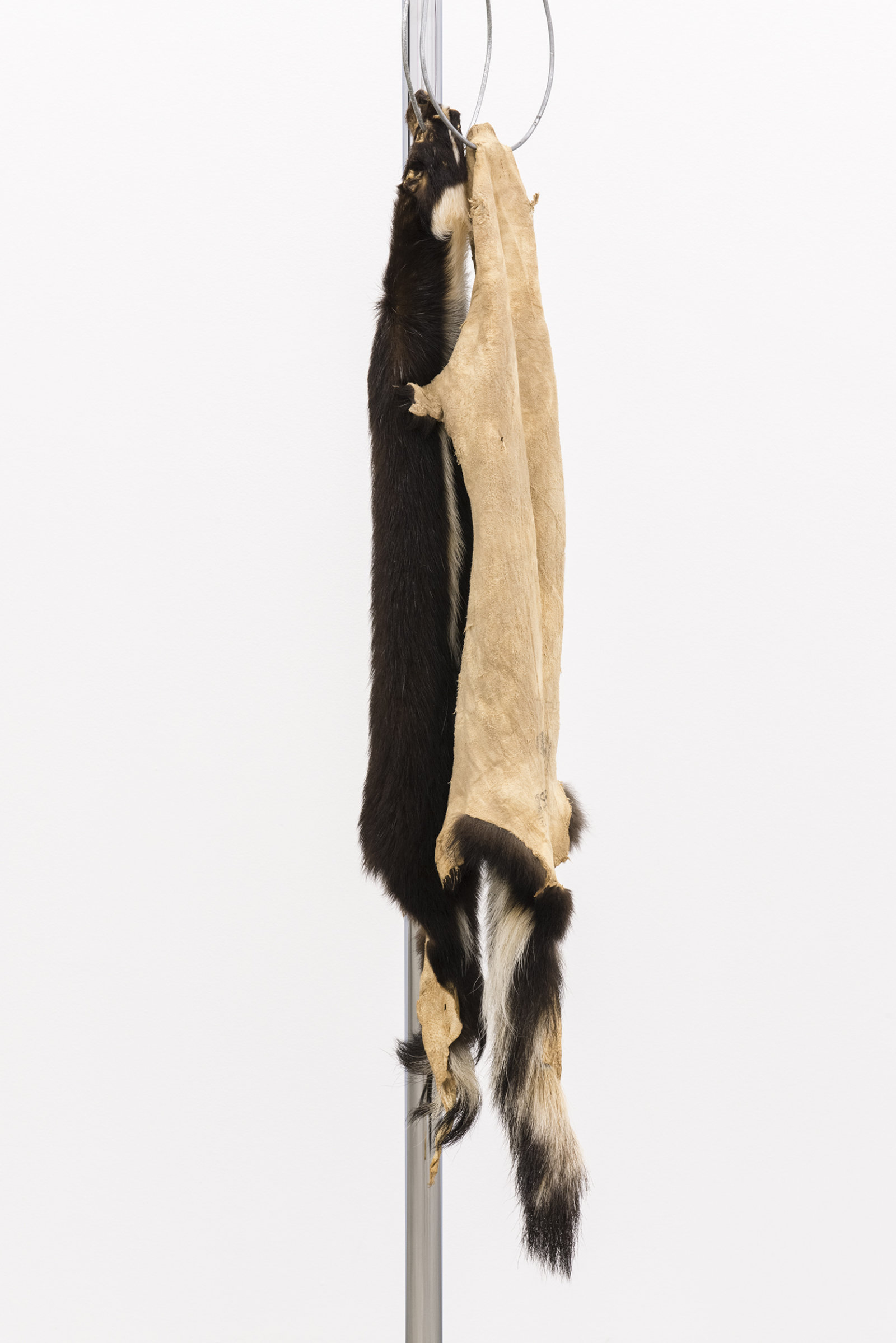 Duane Linklater, The marks left behind (detail), 2014, skunk furs, garment rack, hangers, 66 x 60 x 20 in. (168 x 151 x 52 cm)