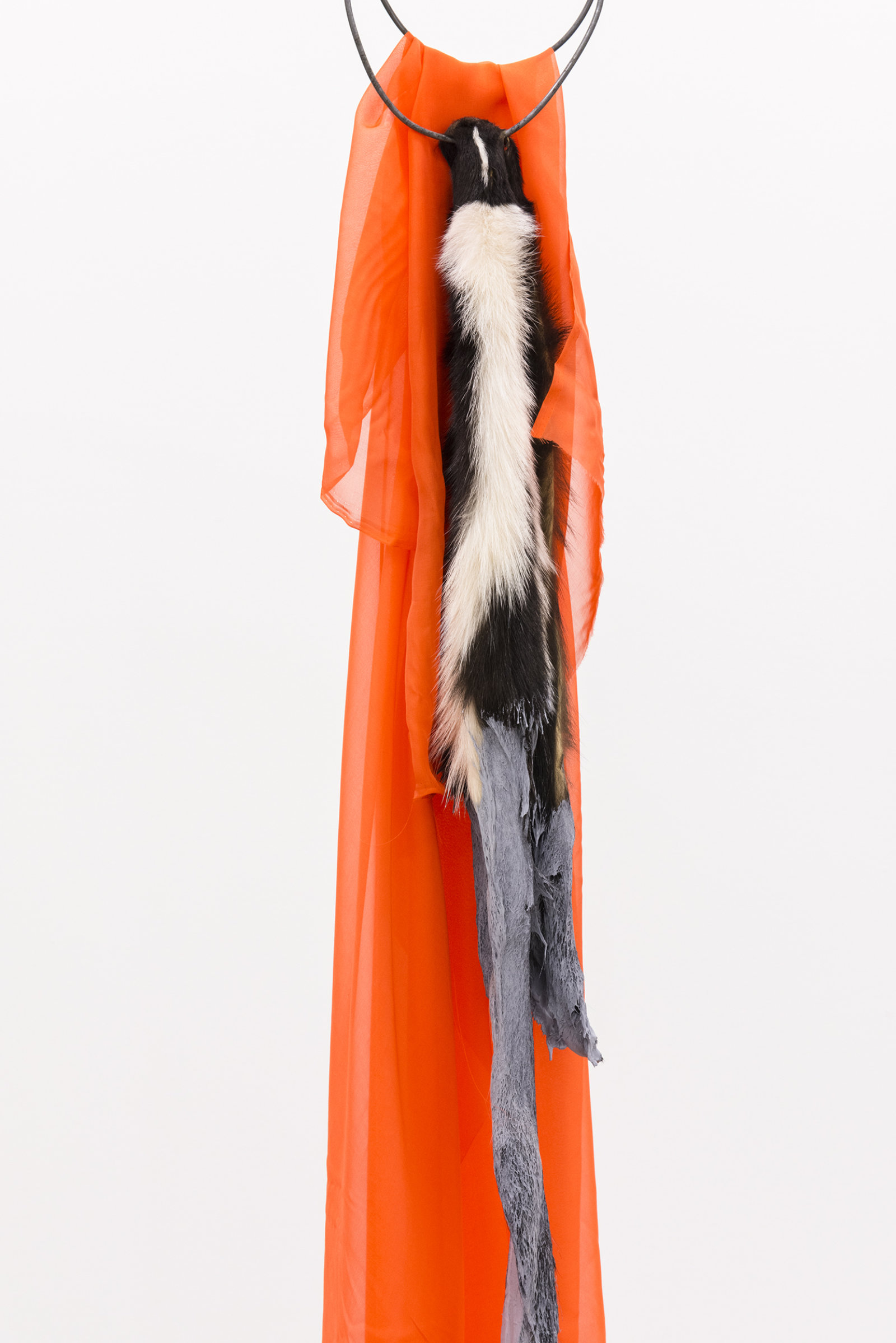 Duane Linklater, The most beautiful thing in the world (detail), 2014, skunk fur, paint, garment rack, hangers, fabric, 66 x 60 x 20 in. (168 x 151 x 52 cm)
