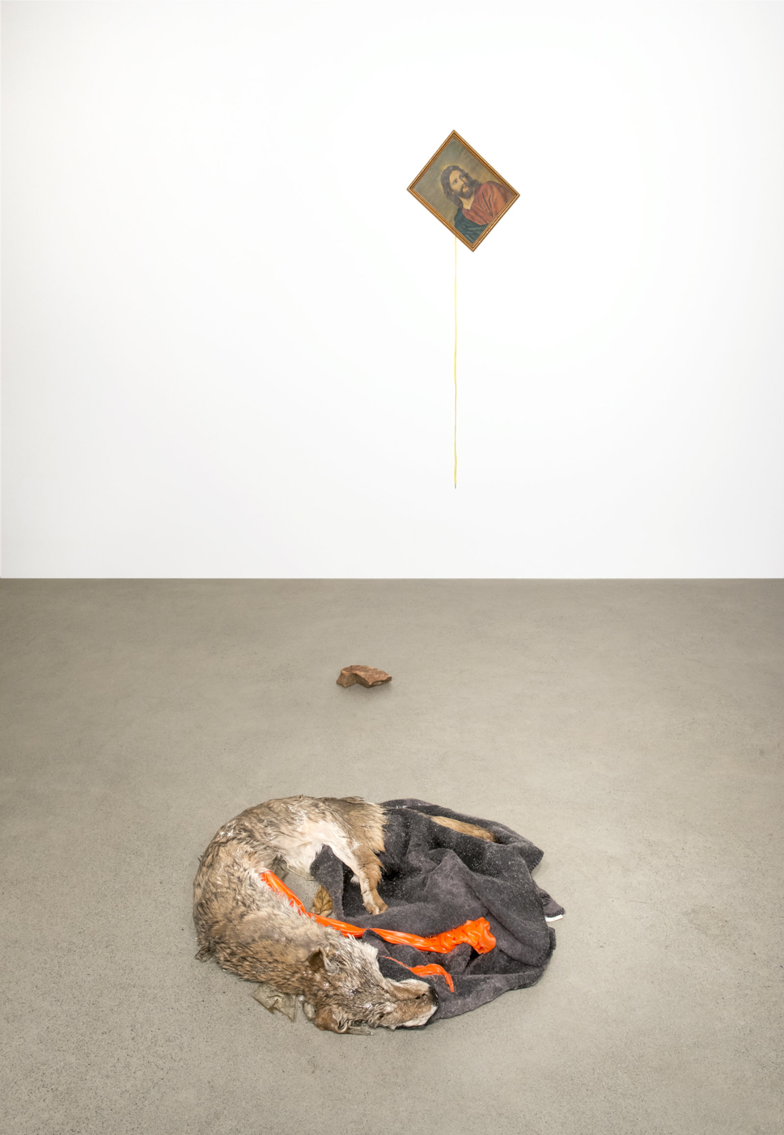 Duane Linklater, Torpor, 2016, coyote fur, wool blanket, polyester cloth, resin, found picture, shoelace, brick, dimensions variable