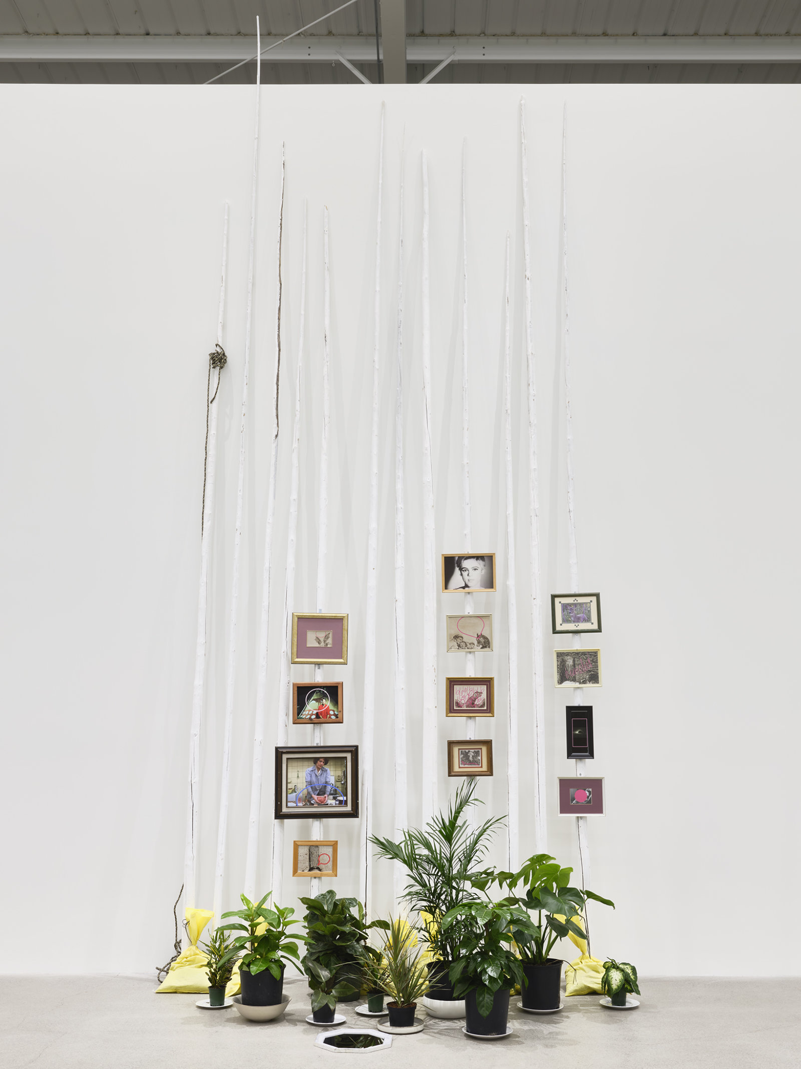 Duane Linklater, action at a distance, 2020, tipi poles, paint, nylon rope, plants, plates, ceramics, sandbags, frames, 12 digital prints, mirror, 233 x 102 x 66 in. (592 x 259 x 168 cm)