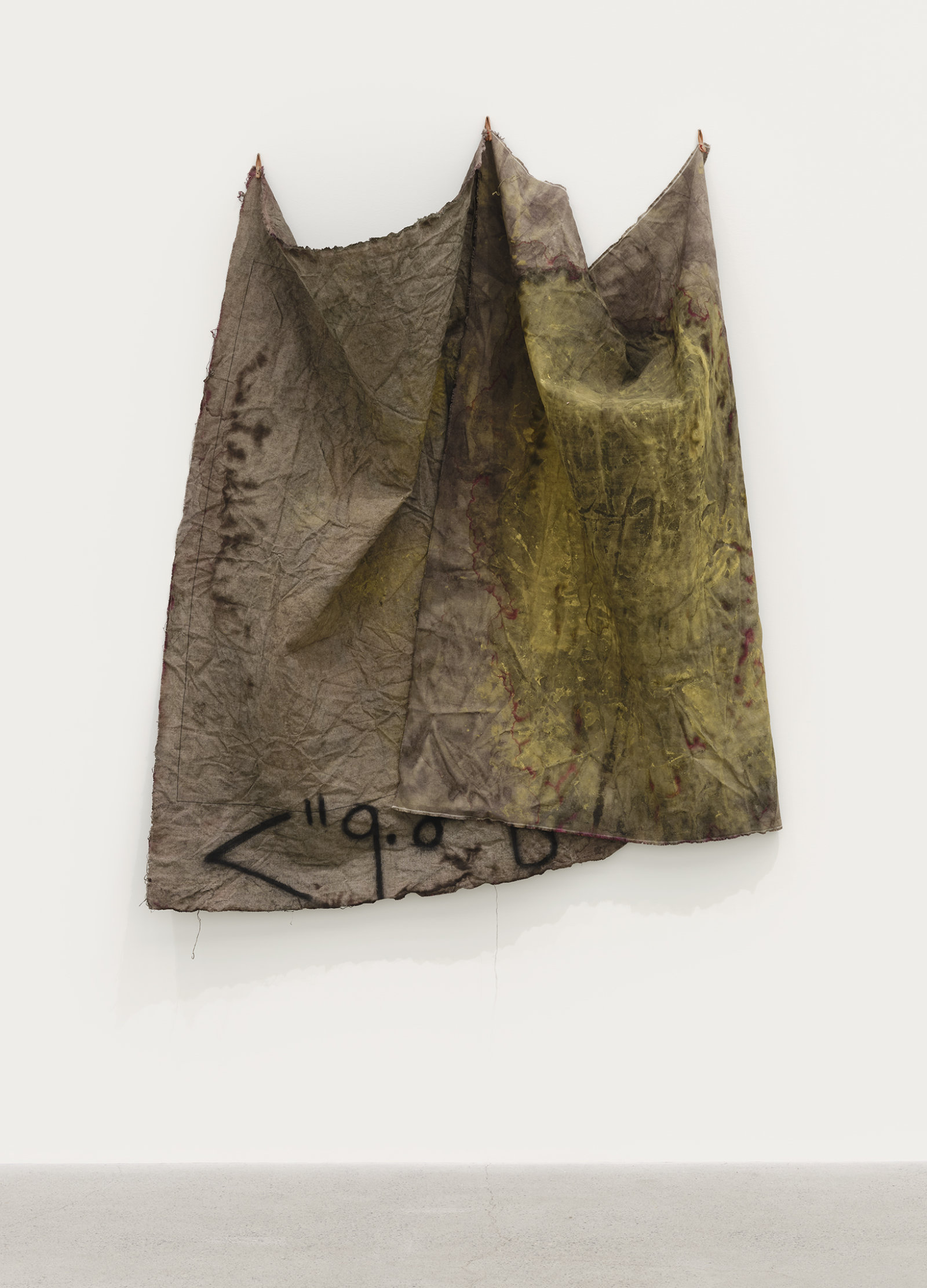 Duane Linklater, aspirated fragment, 2021, digital print on linen, cochineal dye, yellow ochre, honey, charcoal, nails, 62 x 49 x 12 in. (158 x 125 x 31 cm)
