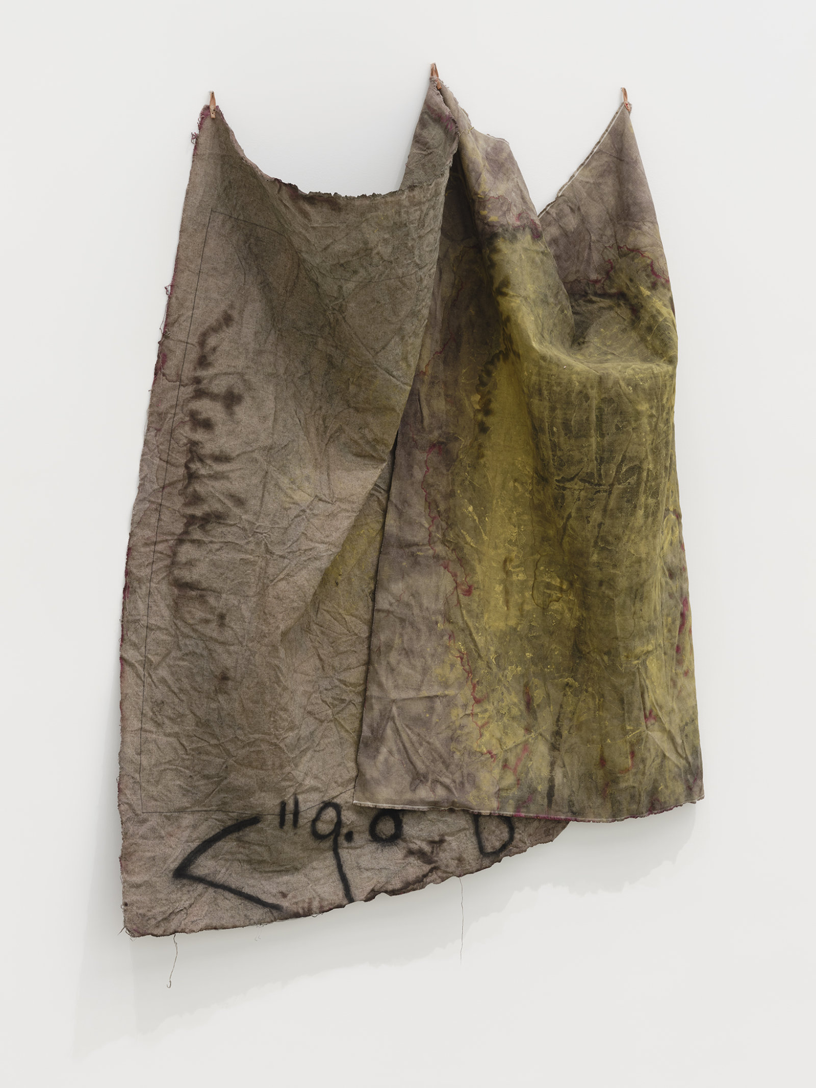 Duane Linklater, aspirated fragment, 2021, digital print on linen, cochineal dye, yellow ochre, honey, charcoal, nails, 62 x 49 x 12 in. (158 x 125 x 31 cm)