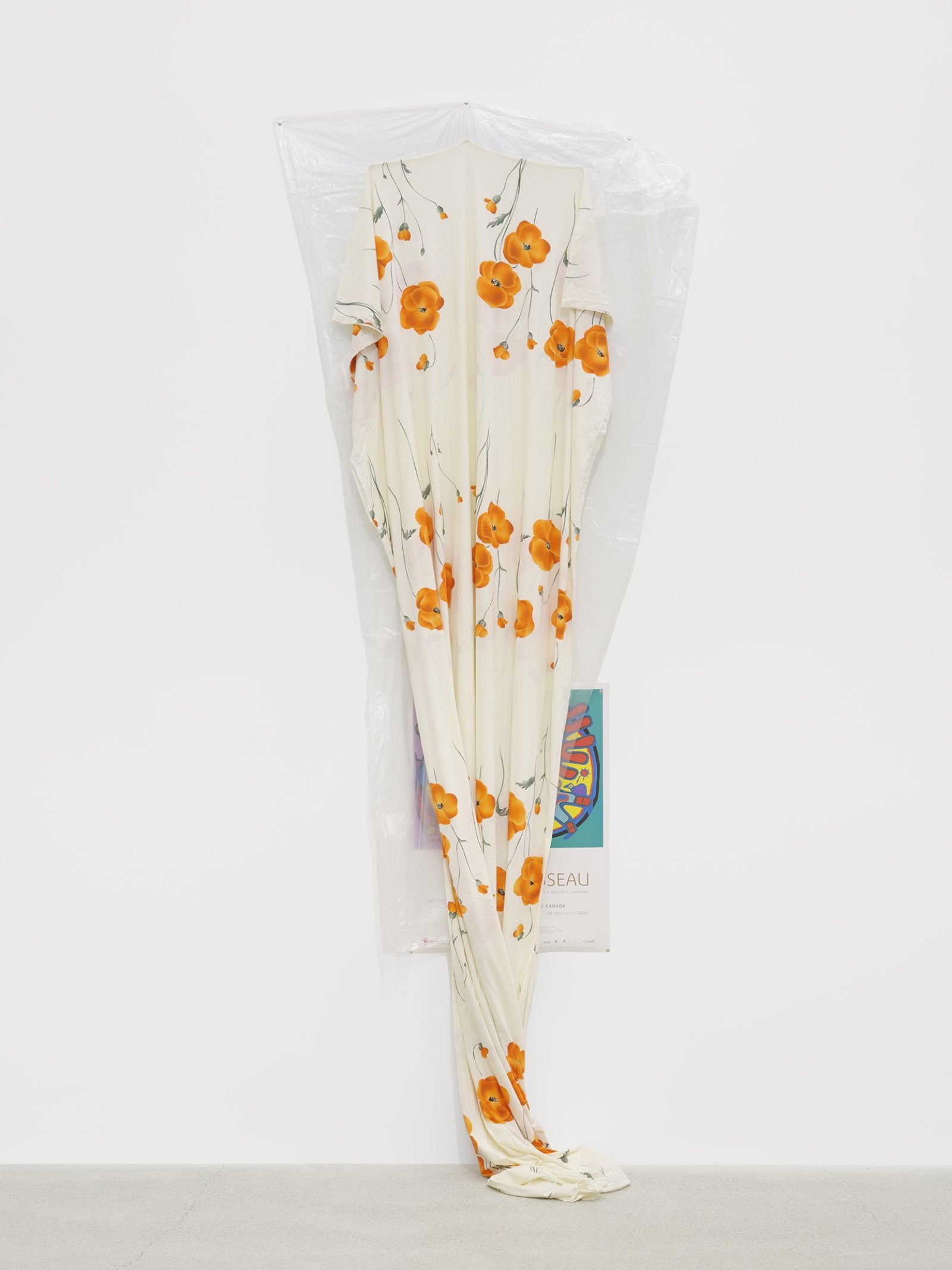Duane Linklater, body, 2016, plastic sheeting, cotton cloth, nails, thumb tacks, paper poster from National Gallery of Canada, 124 x 35 x 15 in. (315 x 89 x 38 cm)