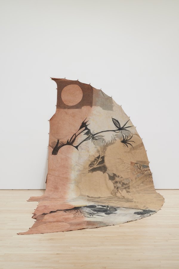 ​Duane Linklater, can the circle be unbroken 3, 2019, digital print on linen, iron red dye, cypress yellow ochre, black walnut dye, black tea, charcoal, installation dimensions variable​. Installation view, SOFT POWER, SF MOMA, San Francisco, USA, 2019