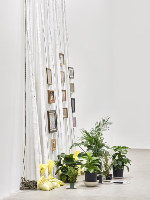 Duane Linklater, action at a distance (detail), 2020, teepee poles, paint, nylon rope, plants, plates, ceramics, sandbags, frames, 12 digital prints, mirror, 233 x 102 x 66 in. (592 x 259 x 168 cm)