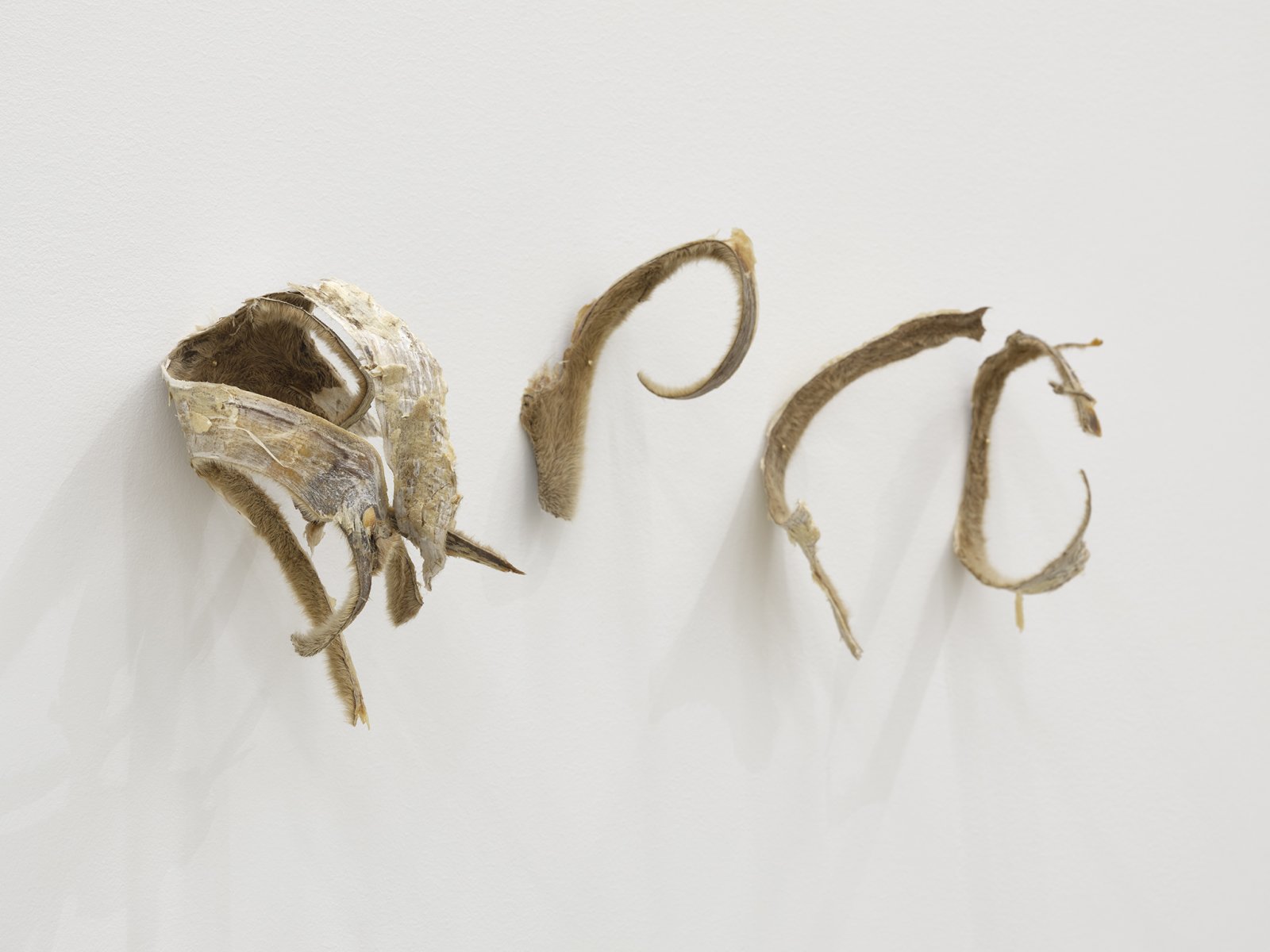 Tanya Lukin Linklater, Horse Hair Question 1 (detail), 2016, horse hair bundles, cotton string, antler velvet, nails, american ash wood, american cherry wood, brass screws, steel screws, steel mesh screens, drywall, steel studs, installation dimensions variable