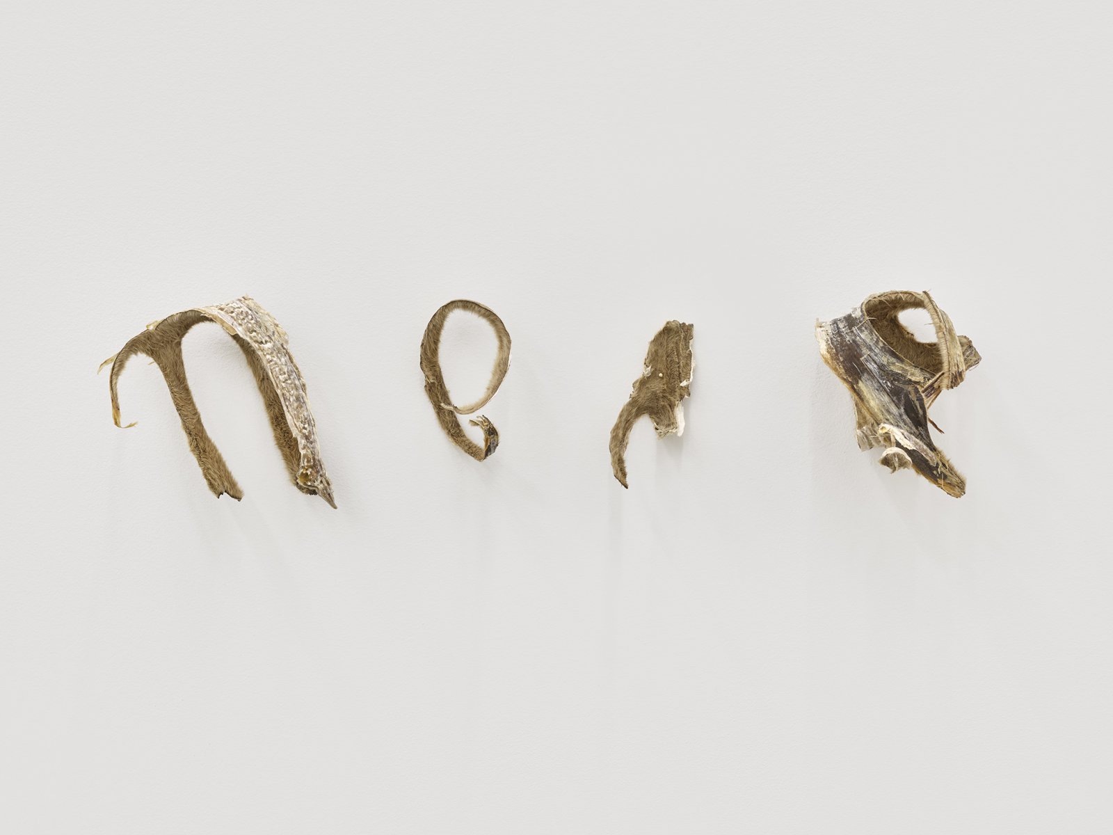 Tanya Lukin Linklater, Horse Hair Question 1 (detail), 2016, horse hair bundles, cotton string, antler velvet, nails, american ash wood, american cherry wood, brass screws, steel screws, steel mesh screens, drywall, steel studs, installation dimensions variable