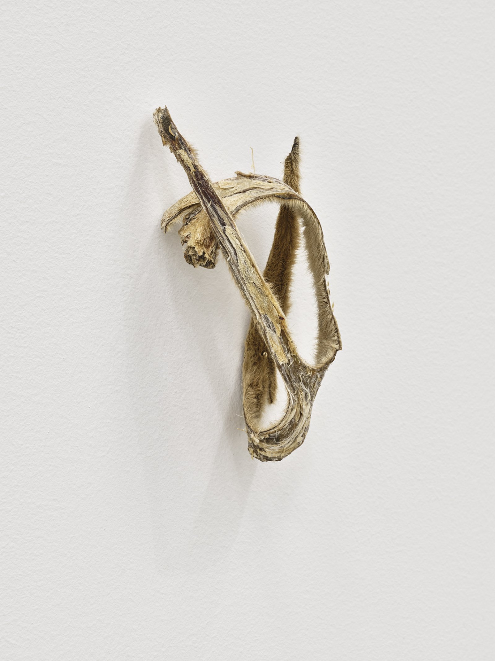 Tanya Lukin Linklater, Horse Hair Question 1 (detail), 2016, horse hair bundles, cotton string, antler velvet, nails, american ash wood, american cherry wood, brass screws, steel screws, steel mesh screens, drywall, steel studs, installation dimensions variable