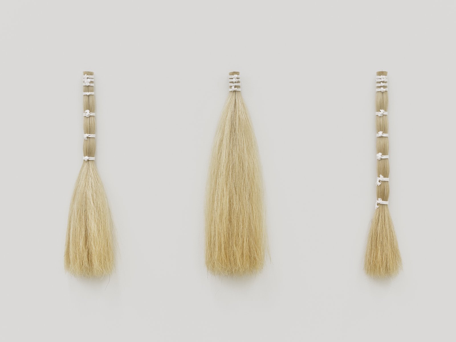 Tanya Lukin Linklater, Horse Hair Question 1 (detail), 2016, horse hair bundles, cotton string, antler velvet, nails, american ash wood, american cherry wood, brass screws, steel screws, steel mesh screens, drywall, steel studs, installation dimensions variable