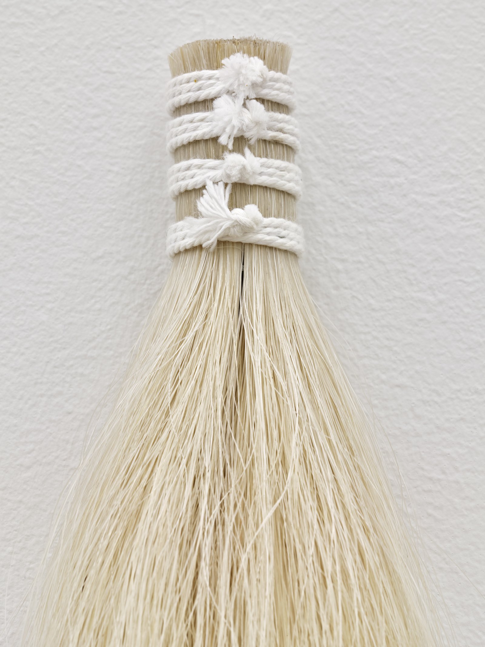 Tanya Lukin Linklater, Horse Hair Question 1 (detail), 2016, horse hair bundles, cotton string, antler velvet, nails, american ash wood, american cherry wood, brass screws, steel screws, steel mesh screens, drywall, steel studs, installation dimensions variable
