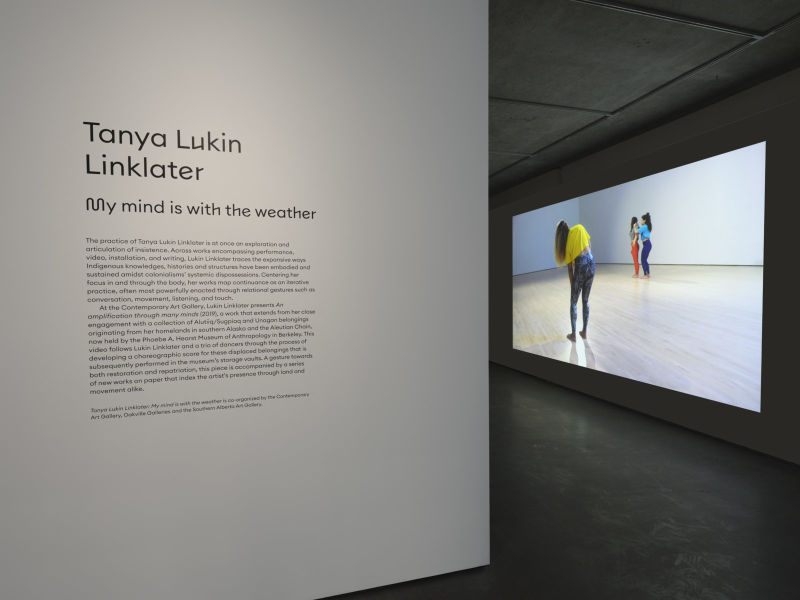  by Tanya Lukin Linklater