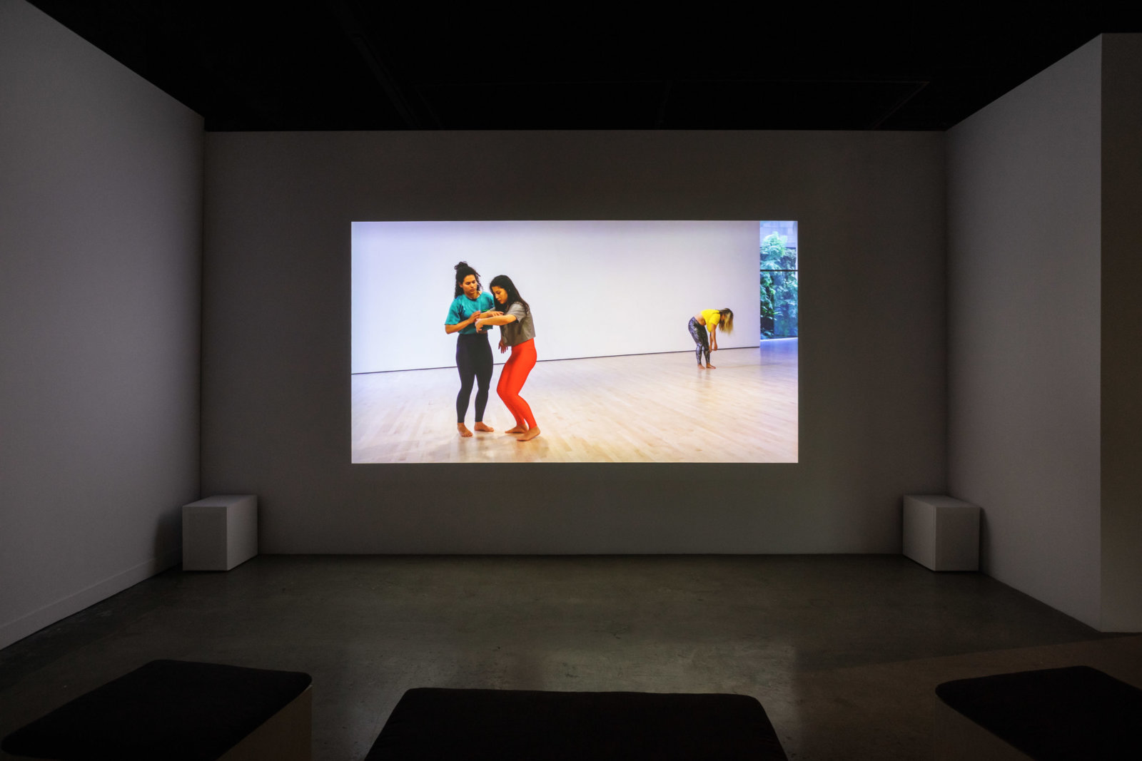 Tanya Lukin Linklater, An amplification through many minds, 2019, video, 36 minutes, 32 seconds. Installation view, My Mind Is With The Weather, Oakville Galleries, Canada, 2022