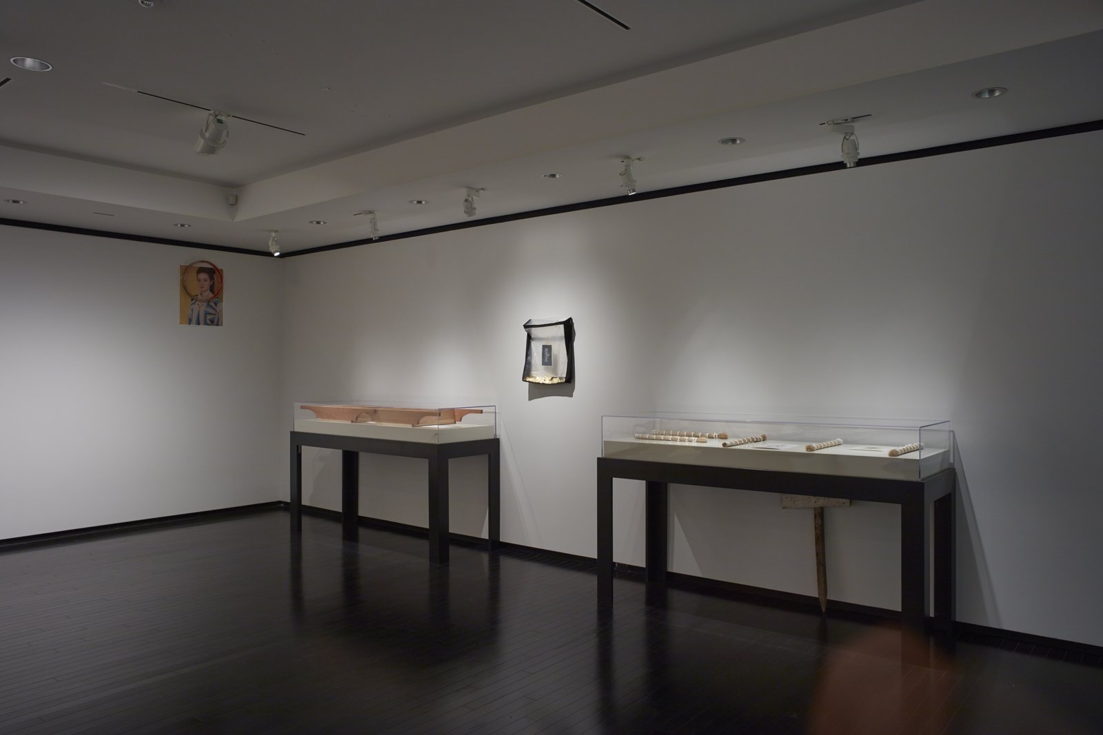 Tanya Lukin Linklater, Horse Hair Question 2, 2016, wood, hardware, screen, horse hair bundles, cotton, paper, images of Inuit prints from Art Gallery of Alberta’s collection, dimensions variable. Installation view, A Parallel Excavation, Art Gallery of Alberta, Edmonton, Canada, 2016