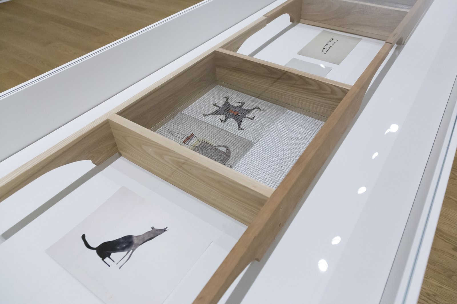 Tanya Lukin Linklater, Horse Hair Question 2 (detail), 2016, wood, hardware, screen, horse hair bundles, cotton, paper, images of Inuit prints from Art Gallery of Alberta’s collection, dimensions variable. Installation view, Next Year’s Country, Remai Modern, Saskatoon, Canada, 2020