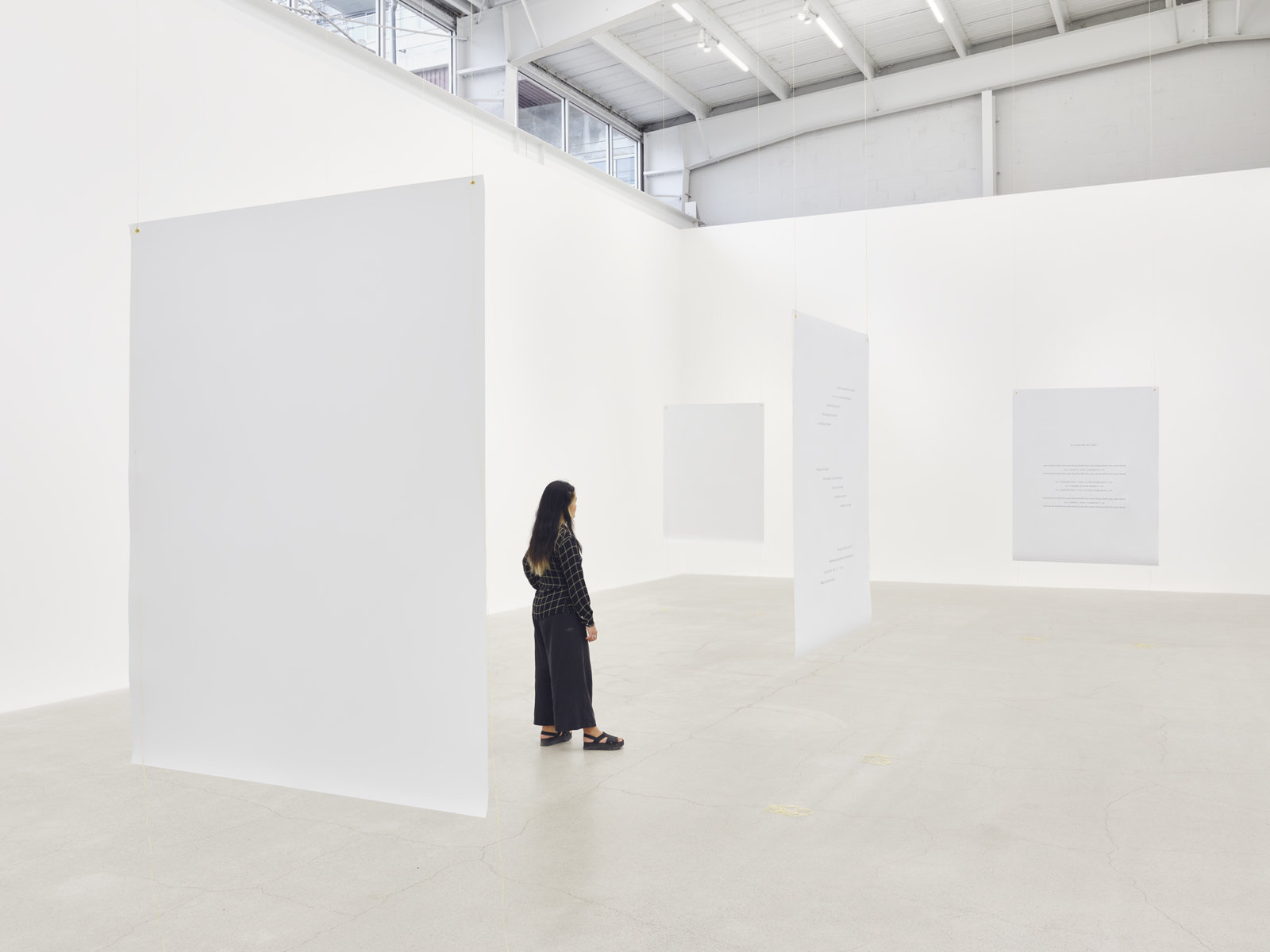 Tanya Lukin Linklater, Slow Scrape, 2013–2020, 5 banners, canvas, grommets, sinew, each 66 x 51 in. (168 x 130 cm)