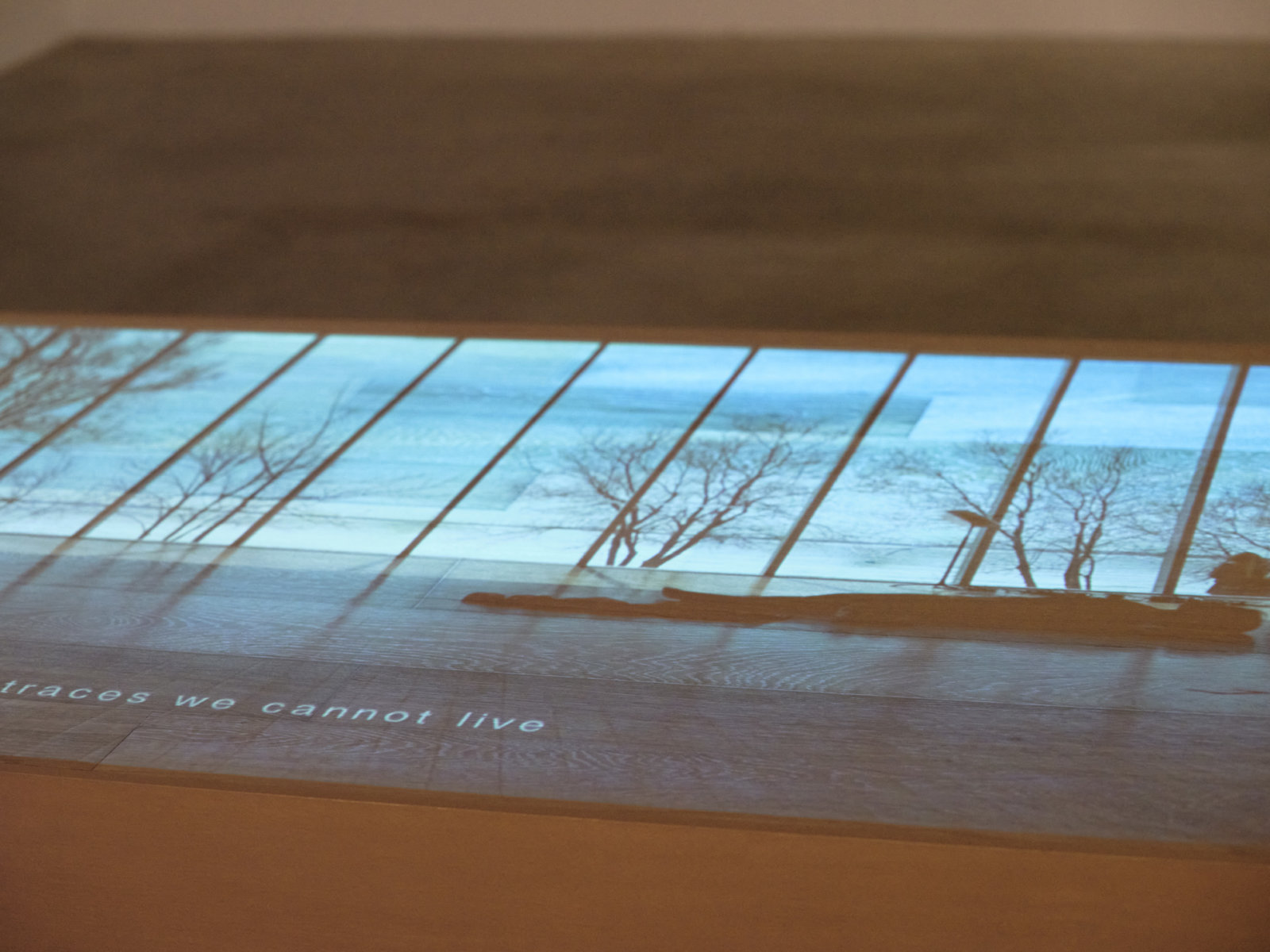 Tanya Lukin Linklater, We wear one another (detail), 2019⁠, site-specific performance projected on wood plinth, 48 x 24 x 85 in. (122 x 61 x 216 cm), 25 minutes, 18 seconds. Installation view, Soundings, Morris and Helen Belkin Art Gallery, Vancouver, 2020