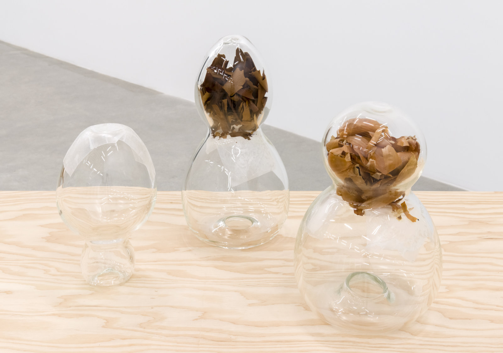 Christina Mackie, Ambic (detail), 2014, glass, parafilm, onionskins, madrona bark, chromatography paper and samples, fir, 47 x 96 x 96 in. (120 x 244 x 244 cm)