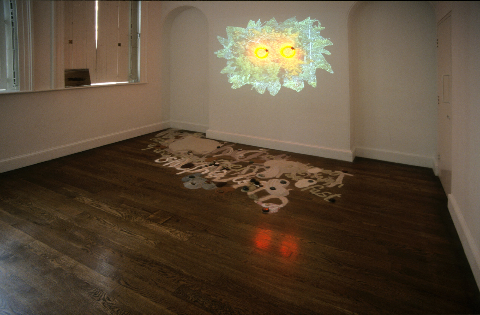 Christina Mackie, An Interzone/intertidalzone, 2002–2012, Nightlight, DVD, filmed by Quentin Mackie, sand, pigments, beach stones polished by Gillian Mackie, inkjet print, fir, steel cloth, plastic, ceramics (George and Christina Mackie), Forestface, DVD projection, fluorescent lamps, dimensions variable. Installation view, The Interzone, Henry Moore Institute, Leeds, UK, 2002