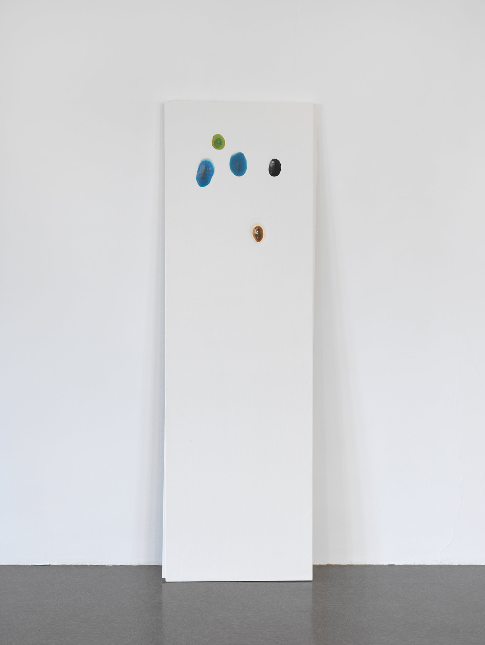 Christina Mackie, Chalk no. 2, 2014, birch, gesso, watercolour, 78 x 244 in. (198 x 620 cm)