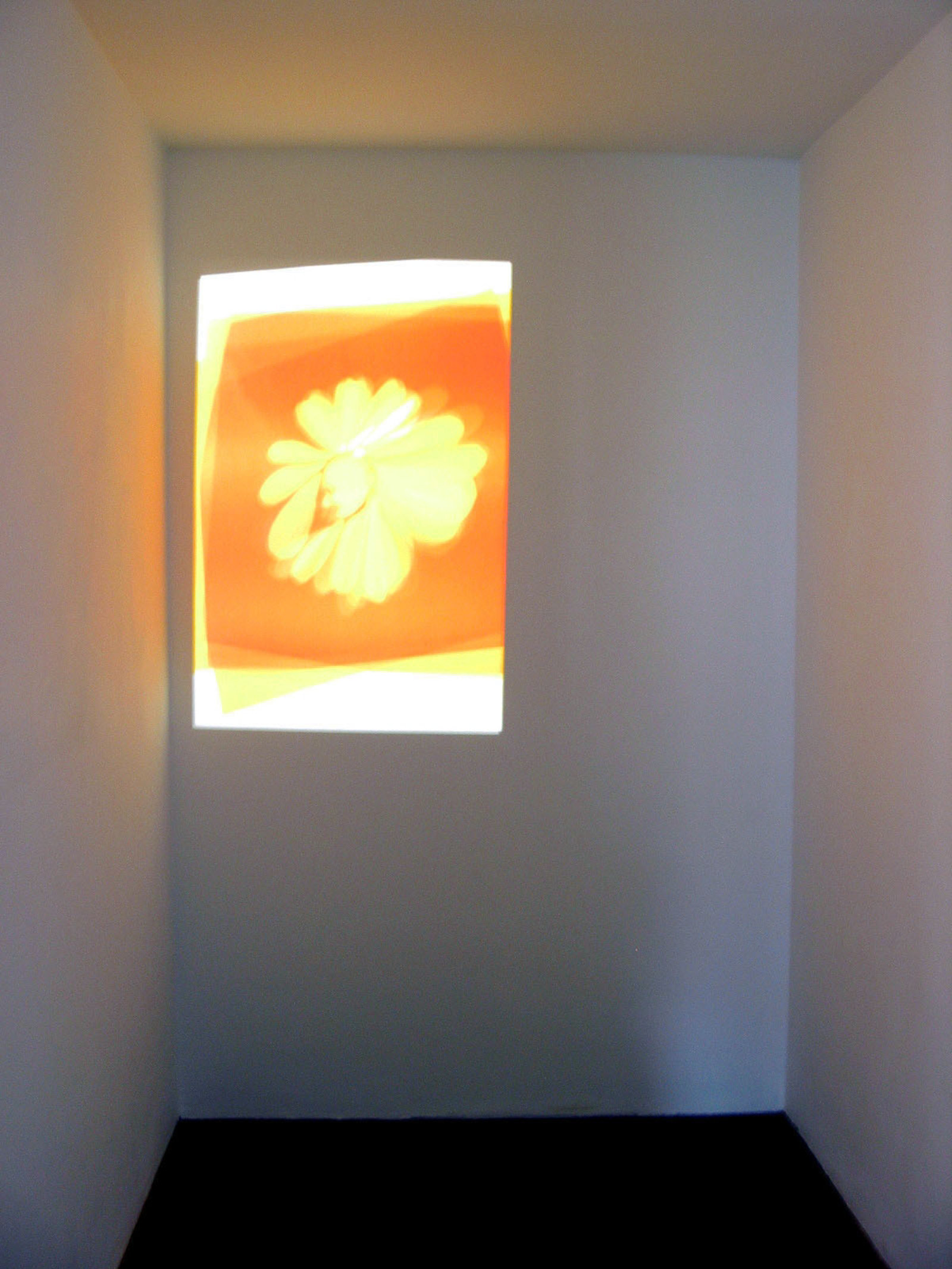 Christina Mackie, Petalhead, 2003, DVD projection, animation of digital photographic gels sequence and 35 mm slide sequence, 5 minutes, 22 seconds