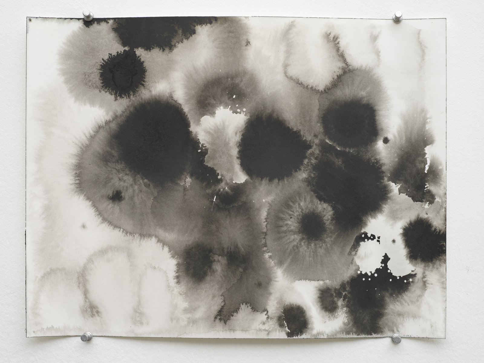Christina Mackie, Studies for Explosions, 2011, indian ink on paper, dimensions variable