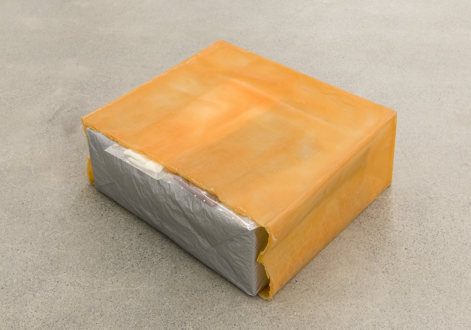 Liz Magor, Hosiery (Tangerine), 2016, silicone rubber, glassine, nylon stockings, 5 x 16 x 15 in. (13 x 41 x 37 cm) by Liz Magor